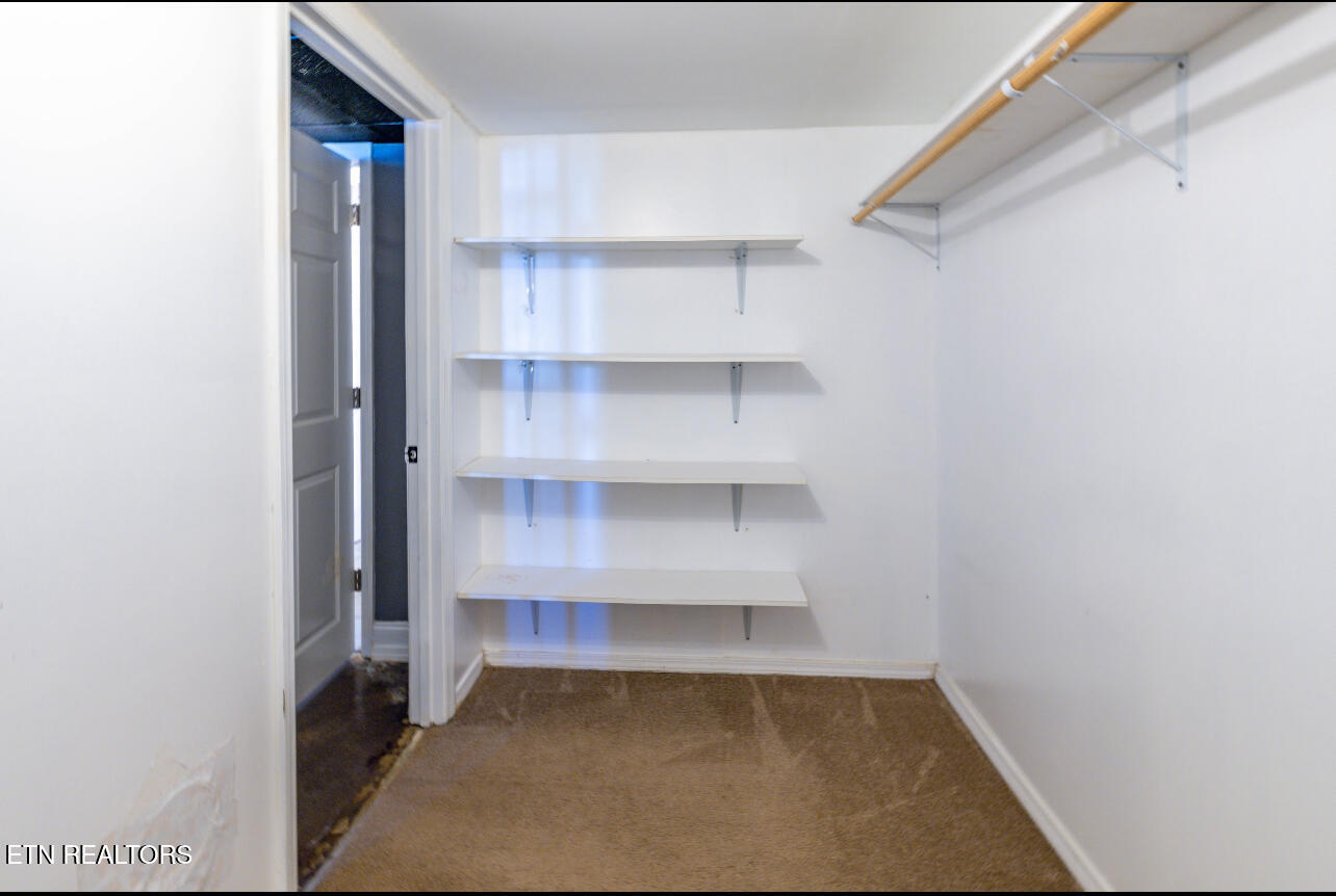 613 Blackburn Drive Knoxville TN 37934