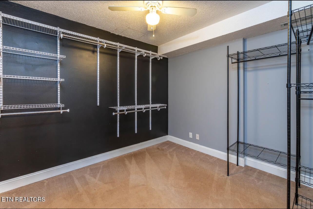 613 Blackburn Drive Knoxville TN 37934