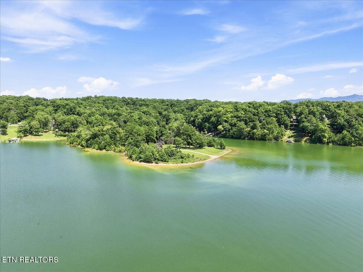 1818 Circle Lake Drive Dandridge TN 37725