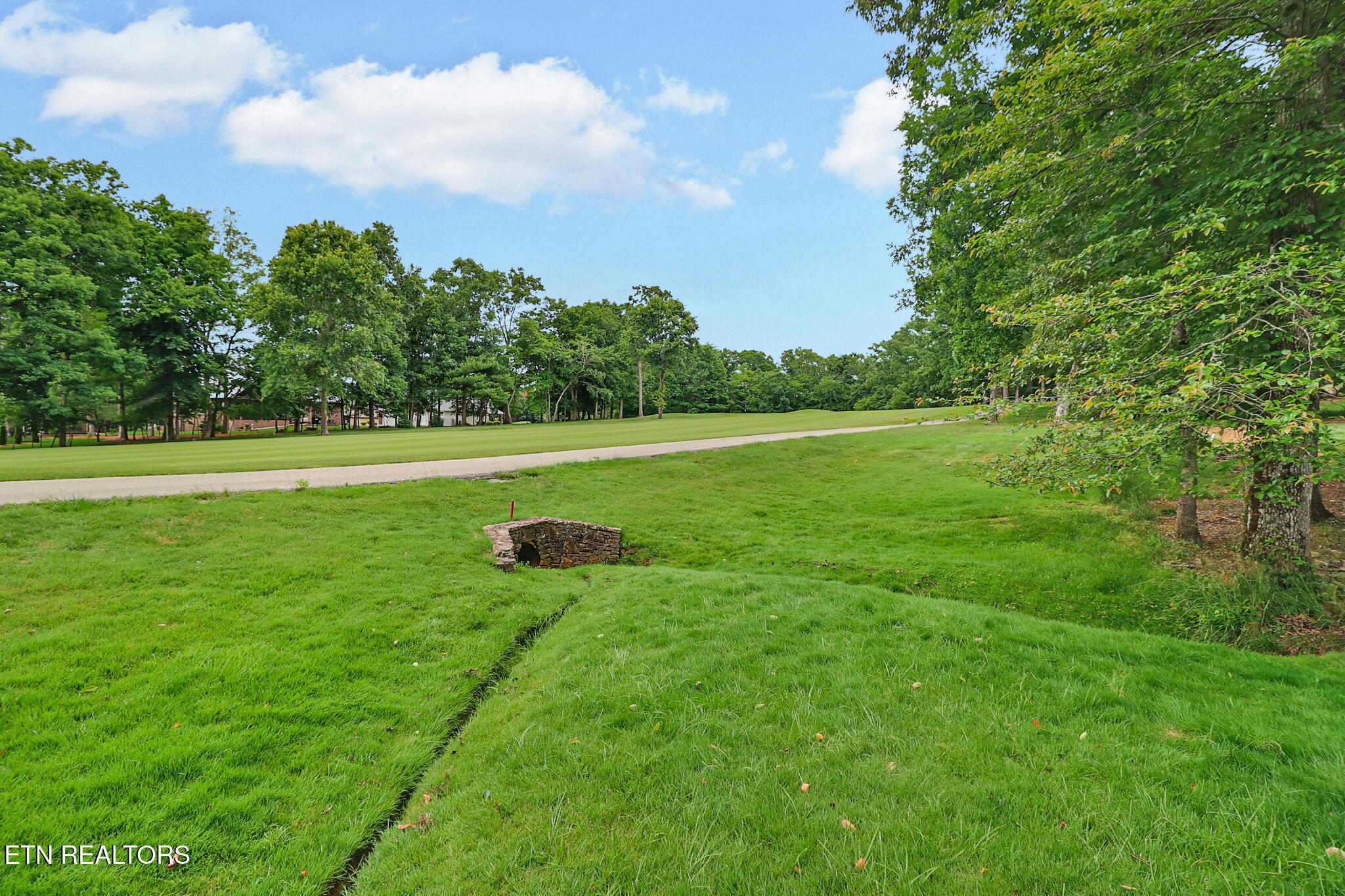 112 Forest View Drive Fairfield Glade TN 38558