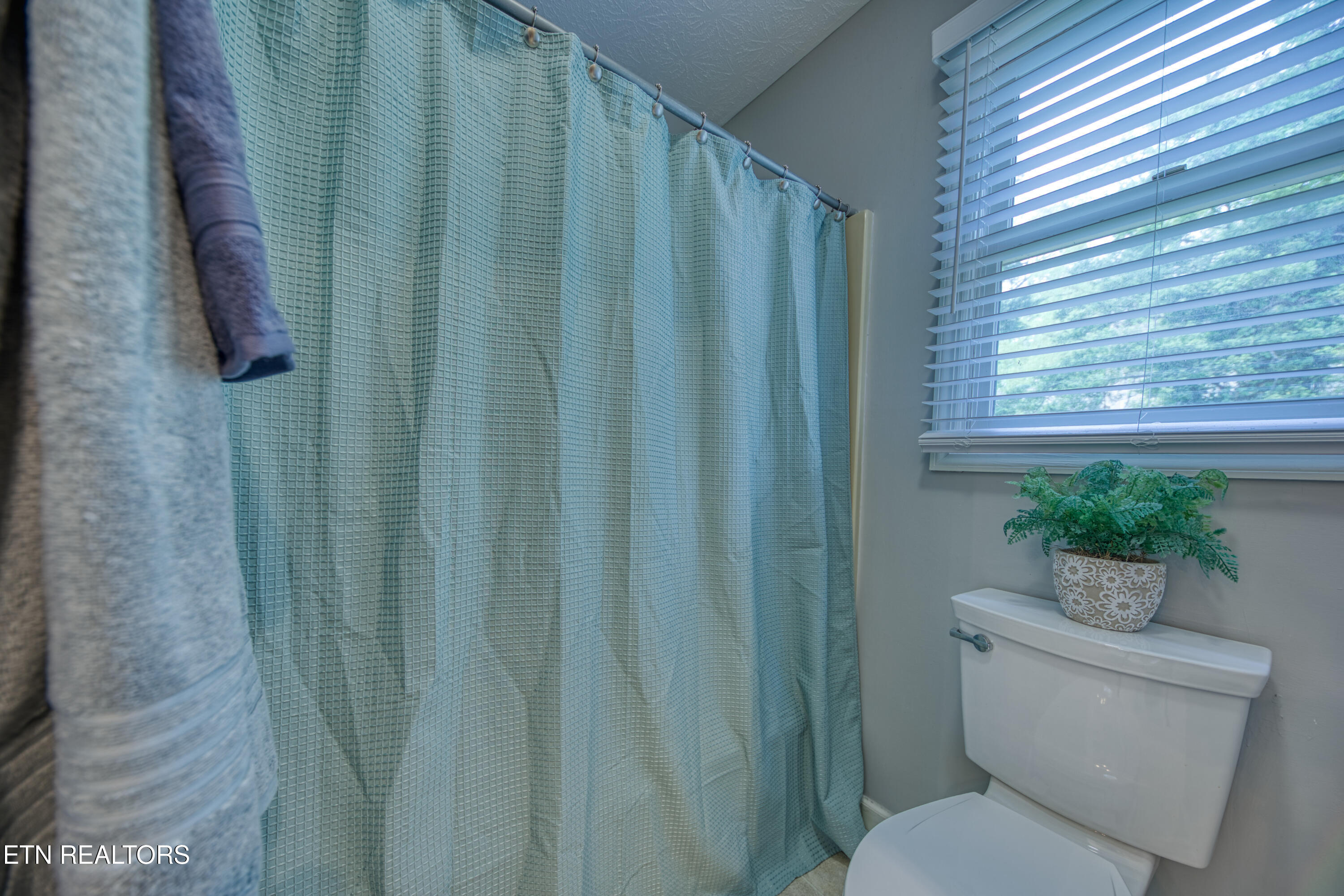 915 Miles Court Knoxville TN 37923