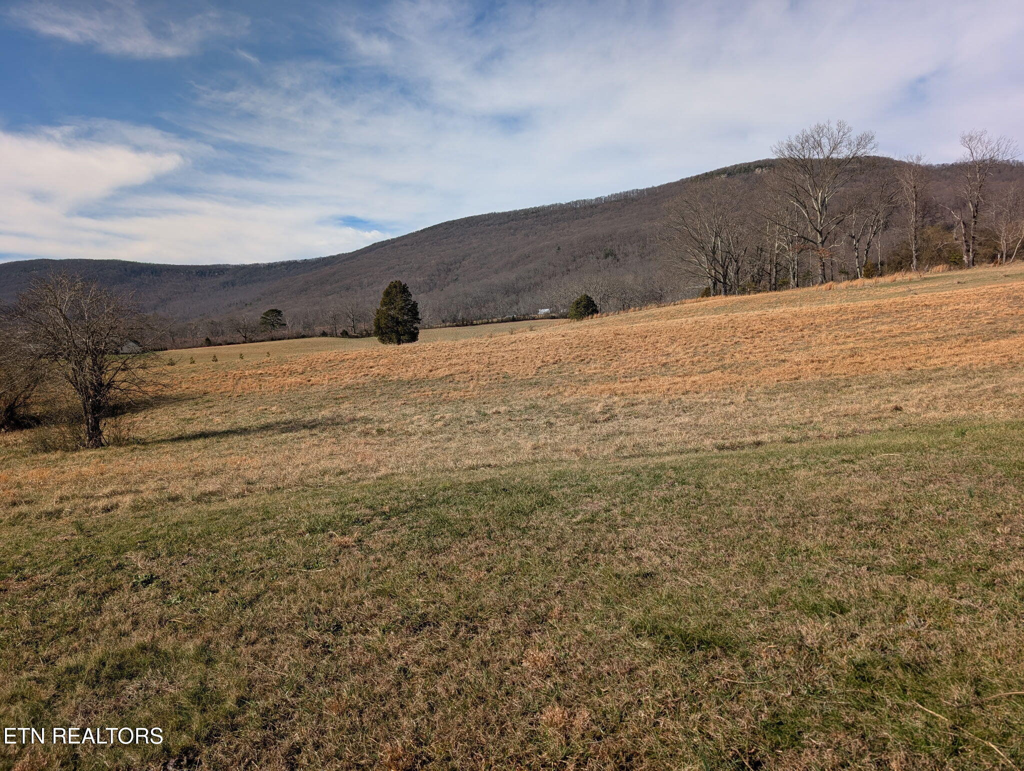 29 Brady Lane Crossville TN 38555