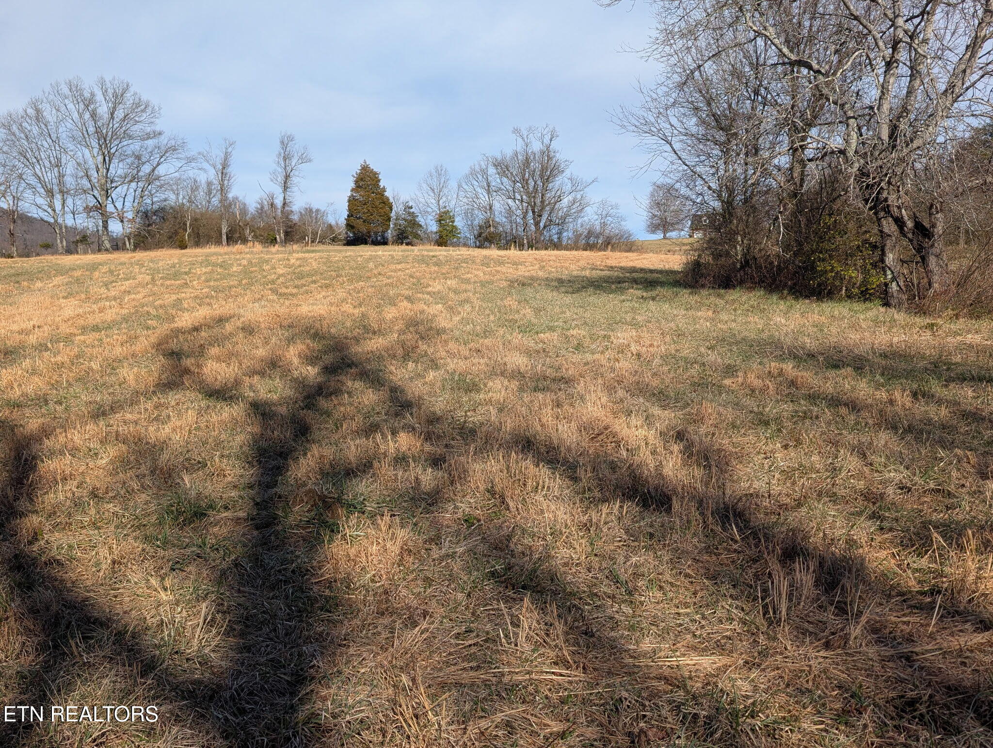 29 Brady Lane Crossville TN 38555