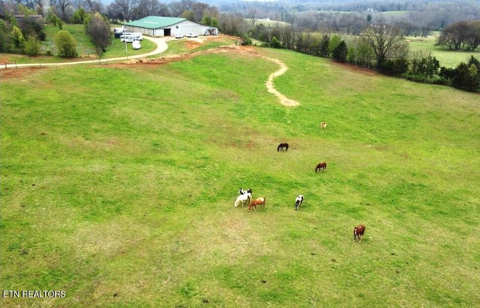 21876 E Coast Tellico Parkway Greenback TN 37742