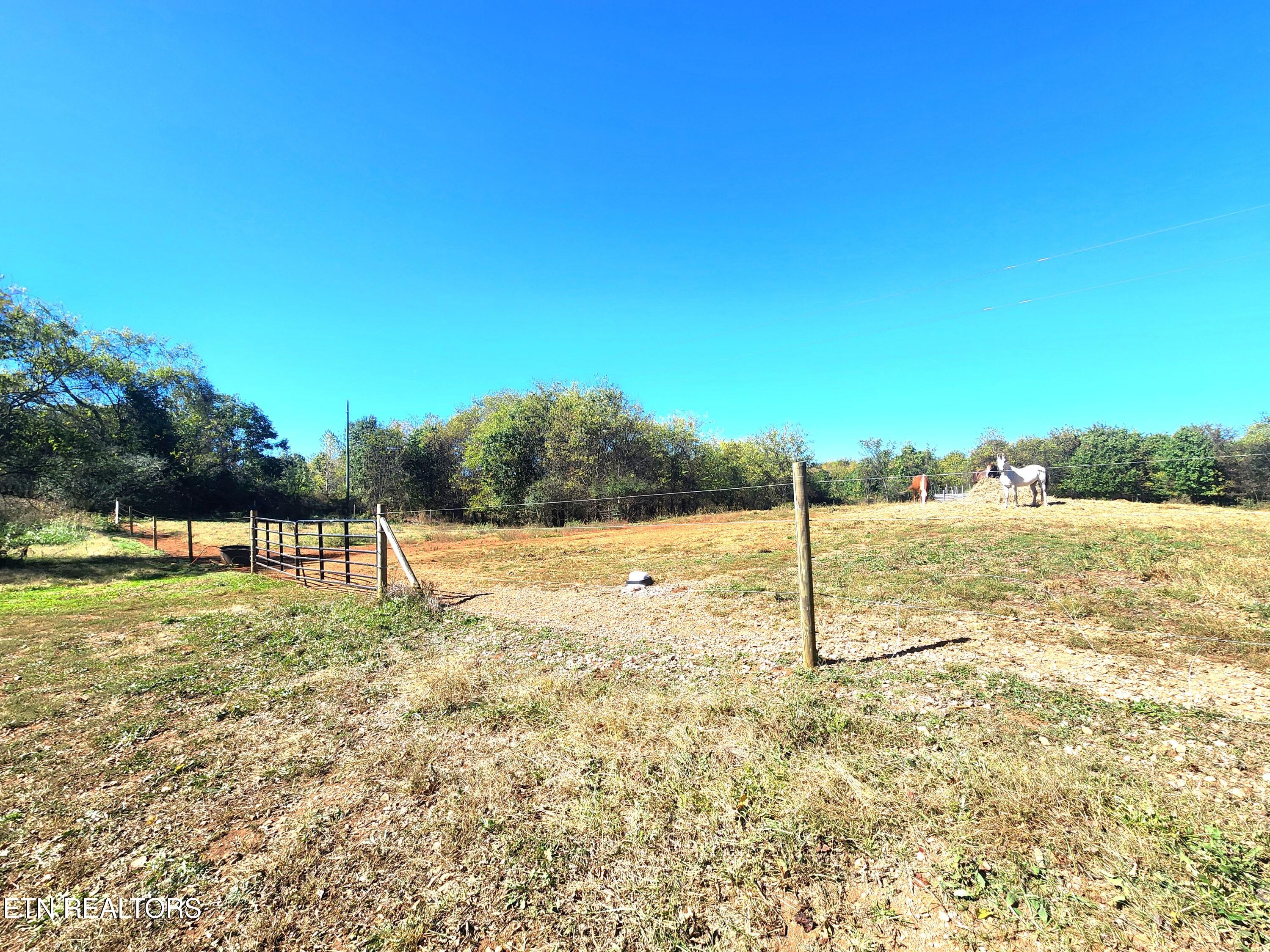 21876 E Coast Tellico Parkway Greenback TN 37742