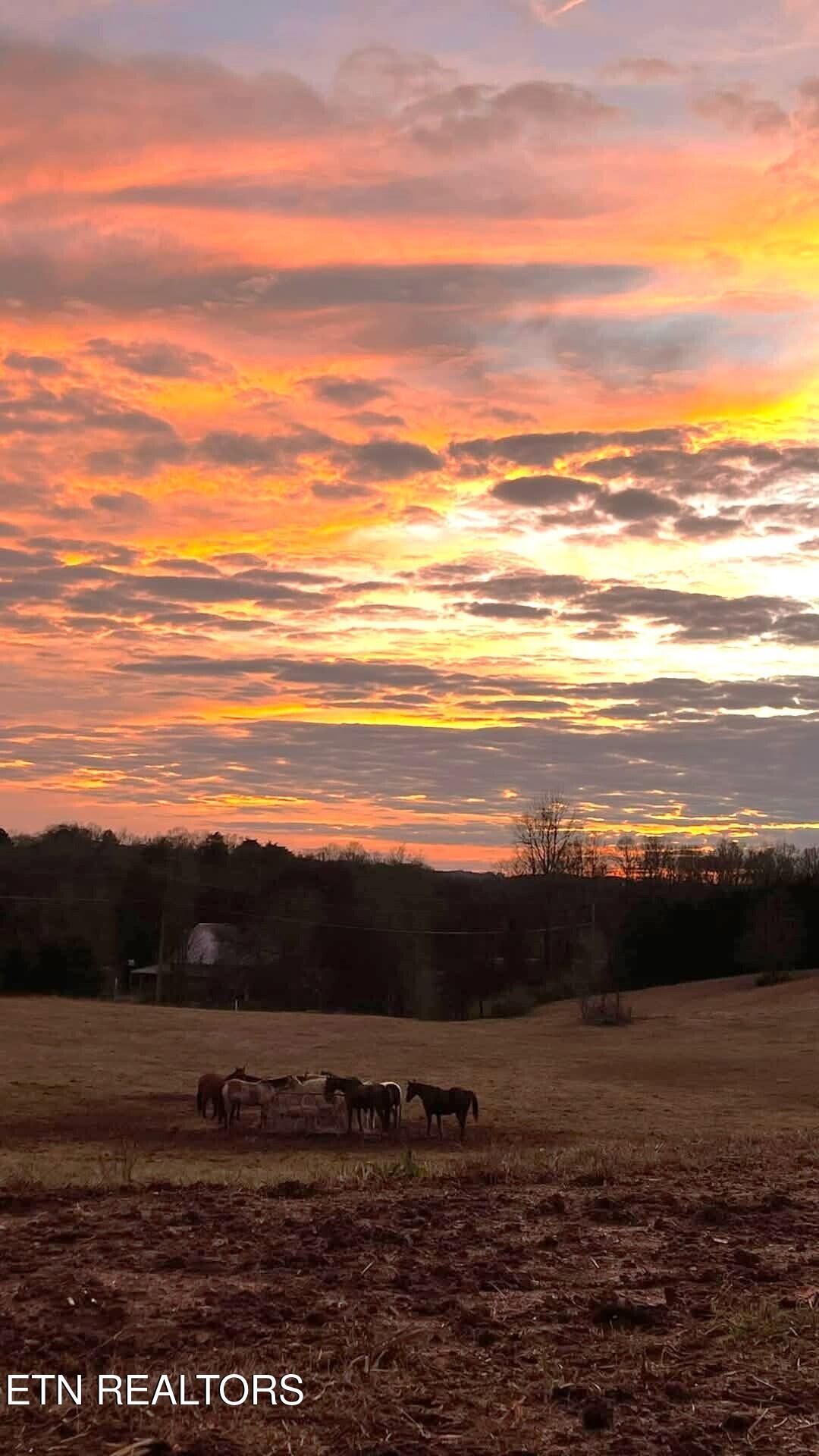 21876 E Coast Tellico Parkway Greenback TN 37742