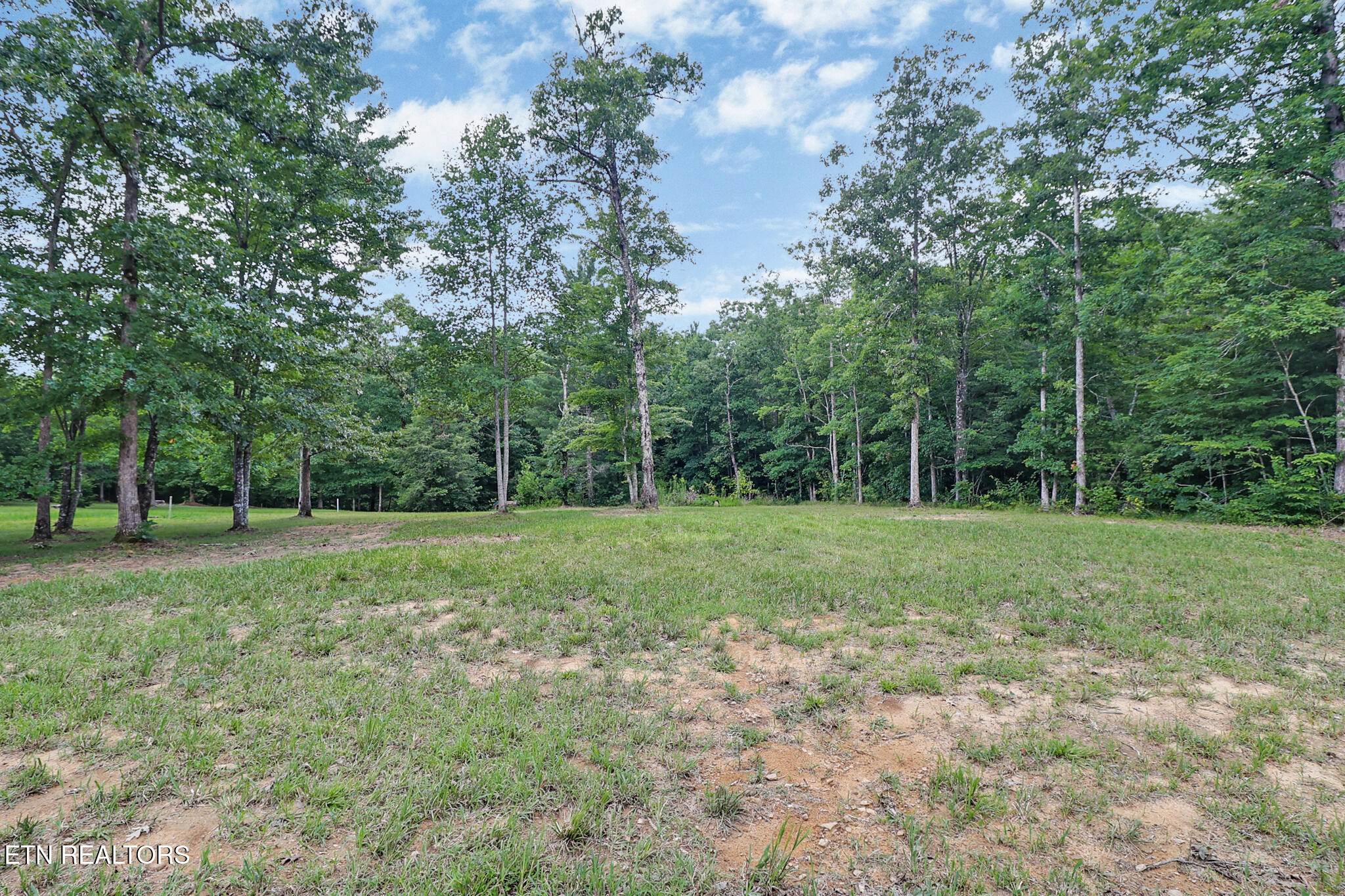 528 St Anthony Drive Jamestown TN 38556