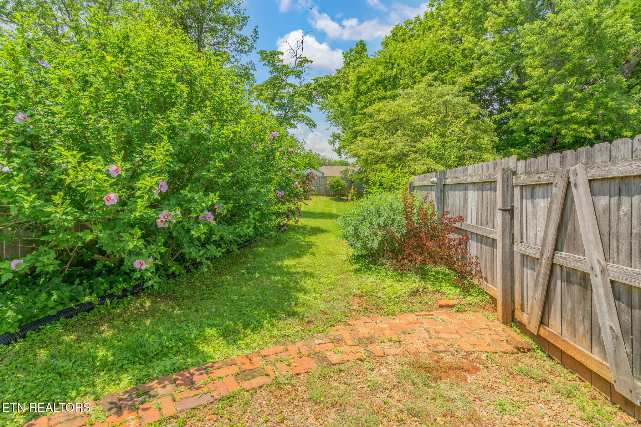 2917 Clearview Street Knoxville TN 37917