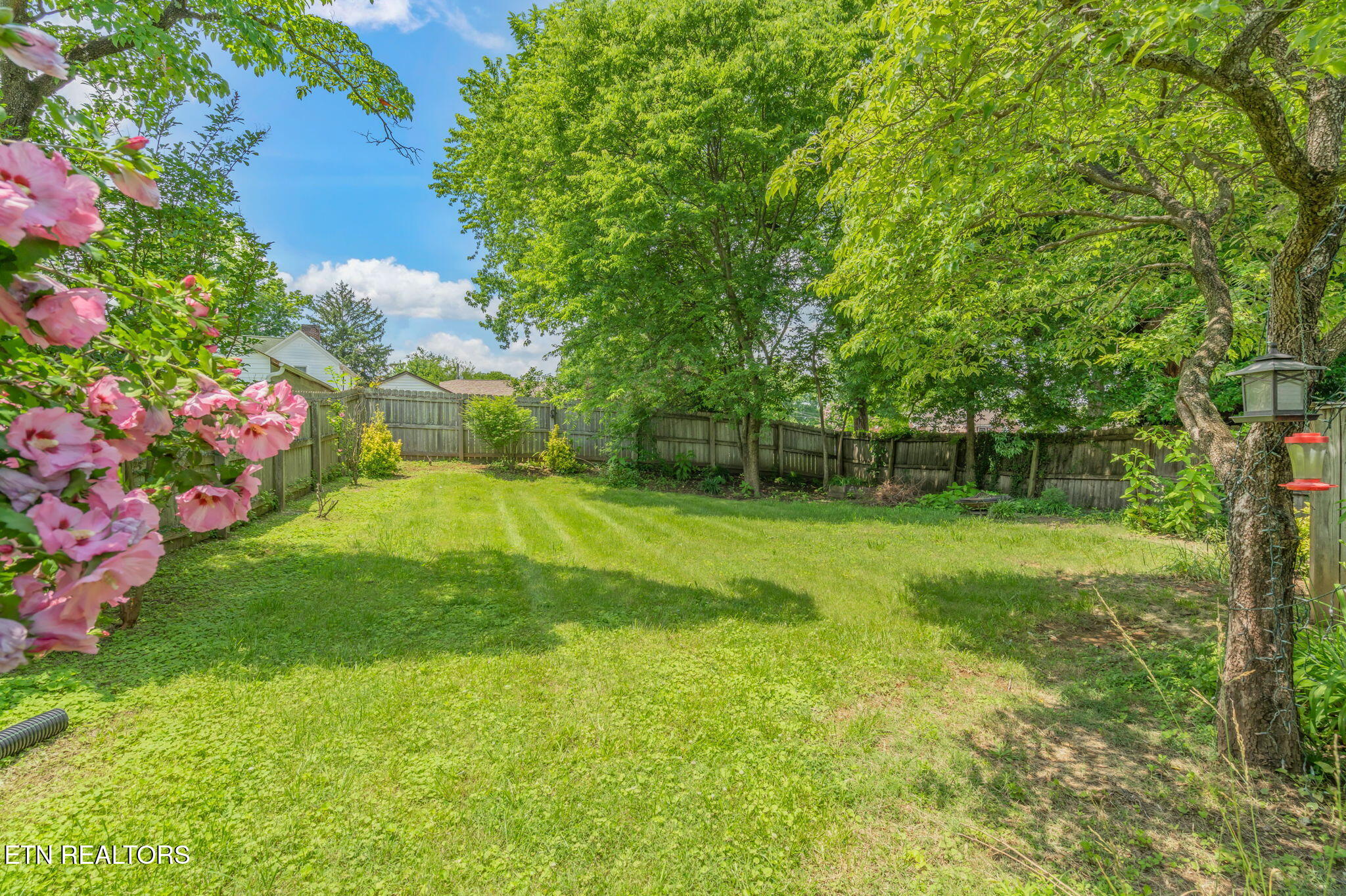 2917 Clearview Street Knoxville TN 37917
