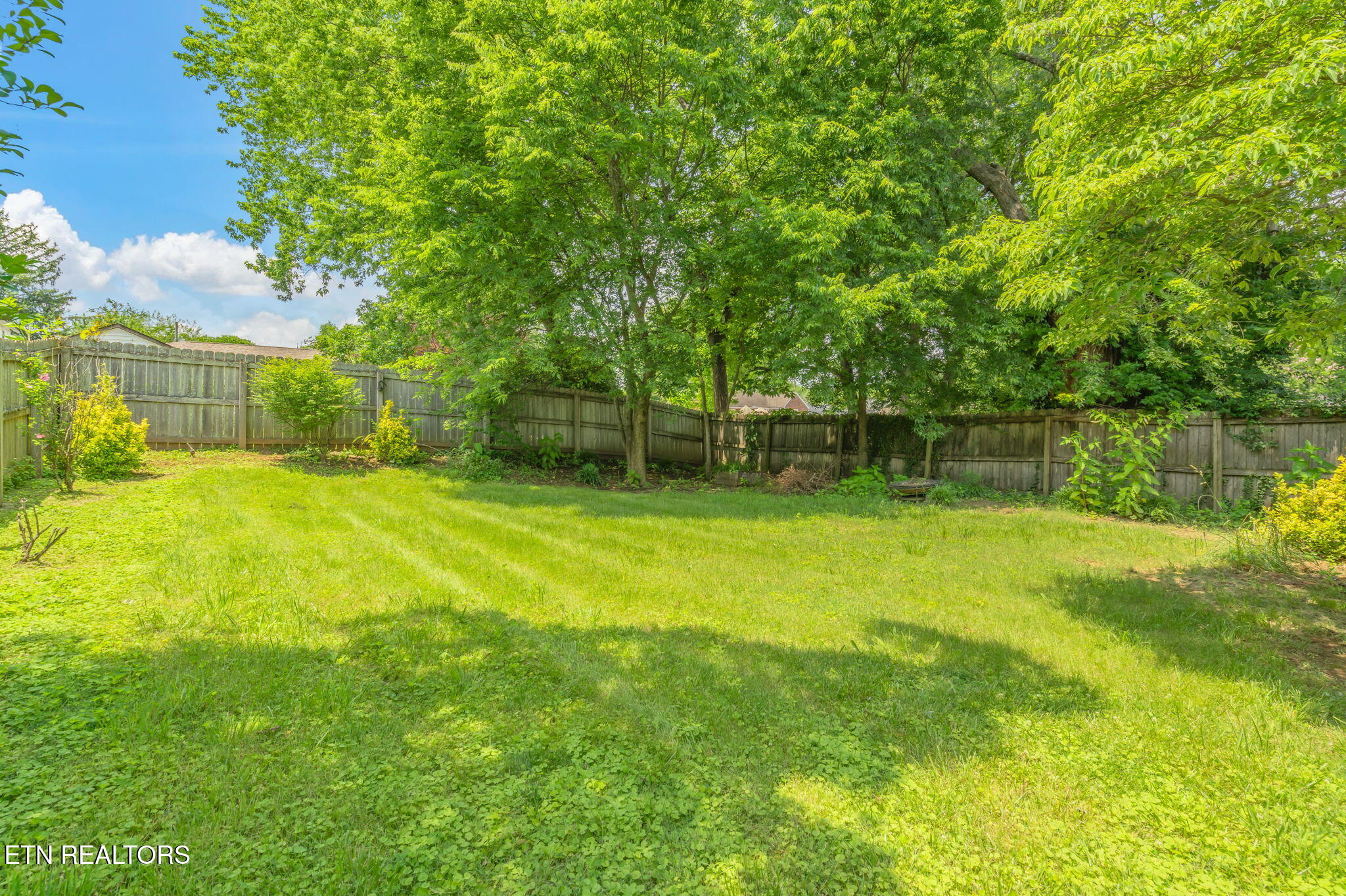 2917 Clearview Street Knoxville TN 37917