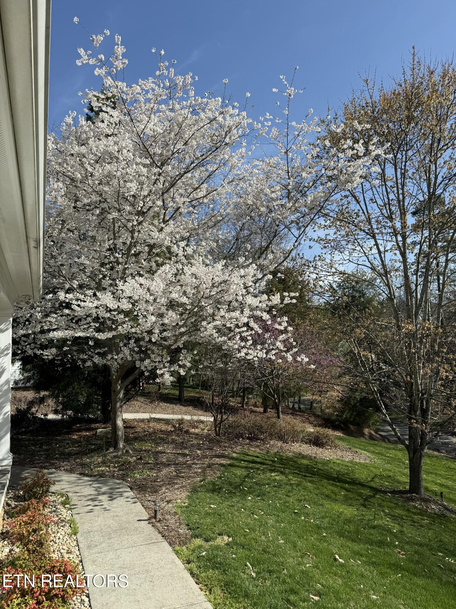 186 Lake Crest Drive Lenoir City TN 37772