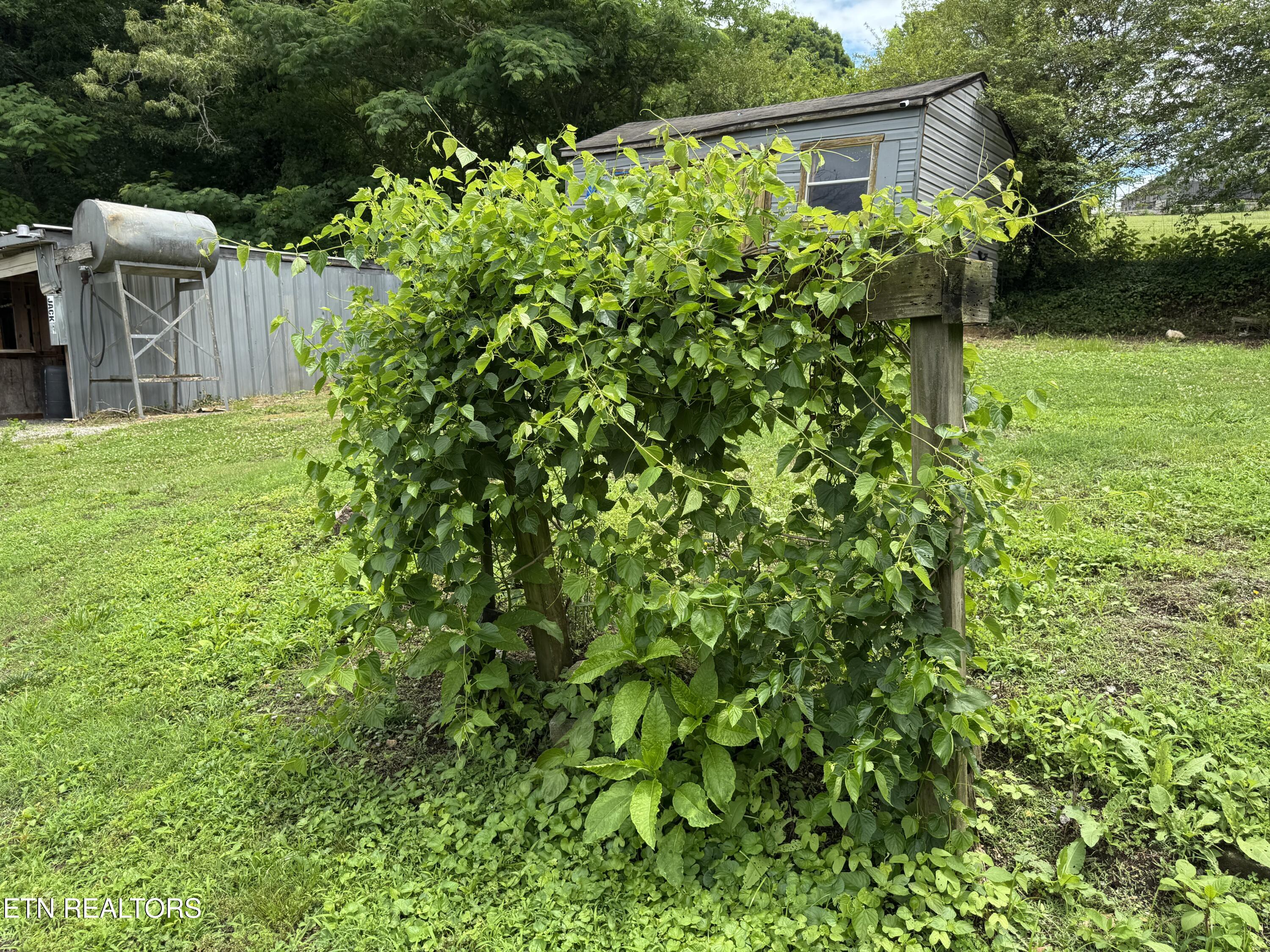 347 Depot Street Vonore TN 37885