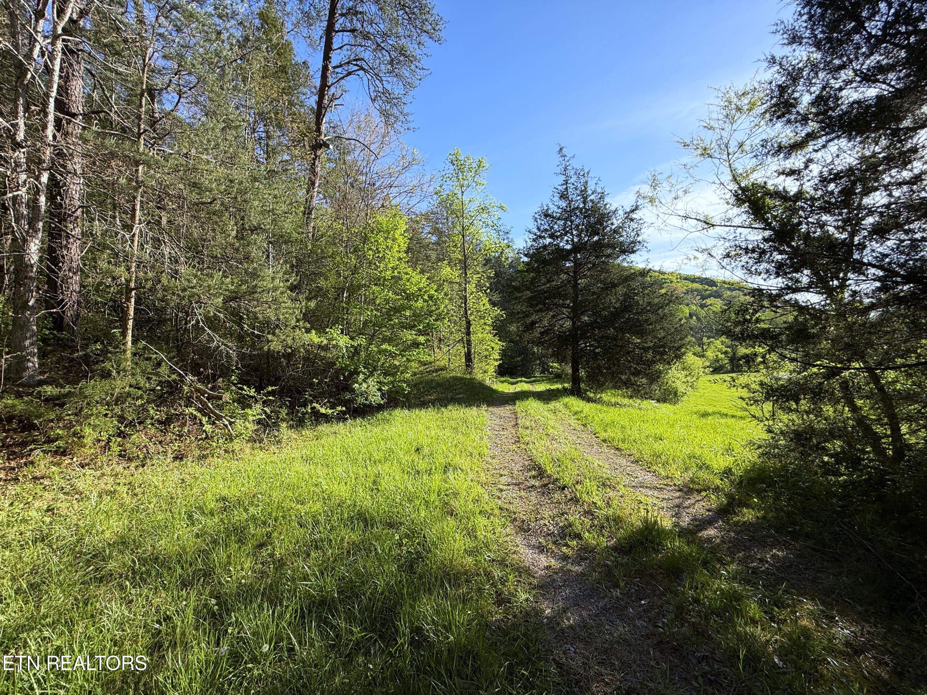 2930 Arch Way Cosby TN 37722