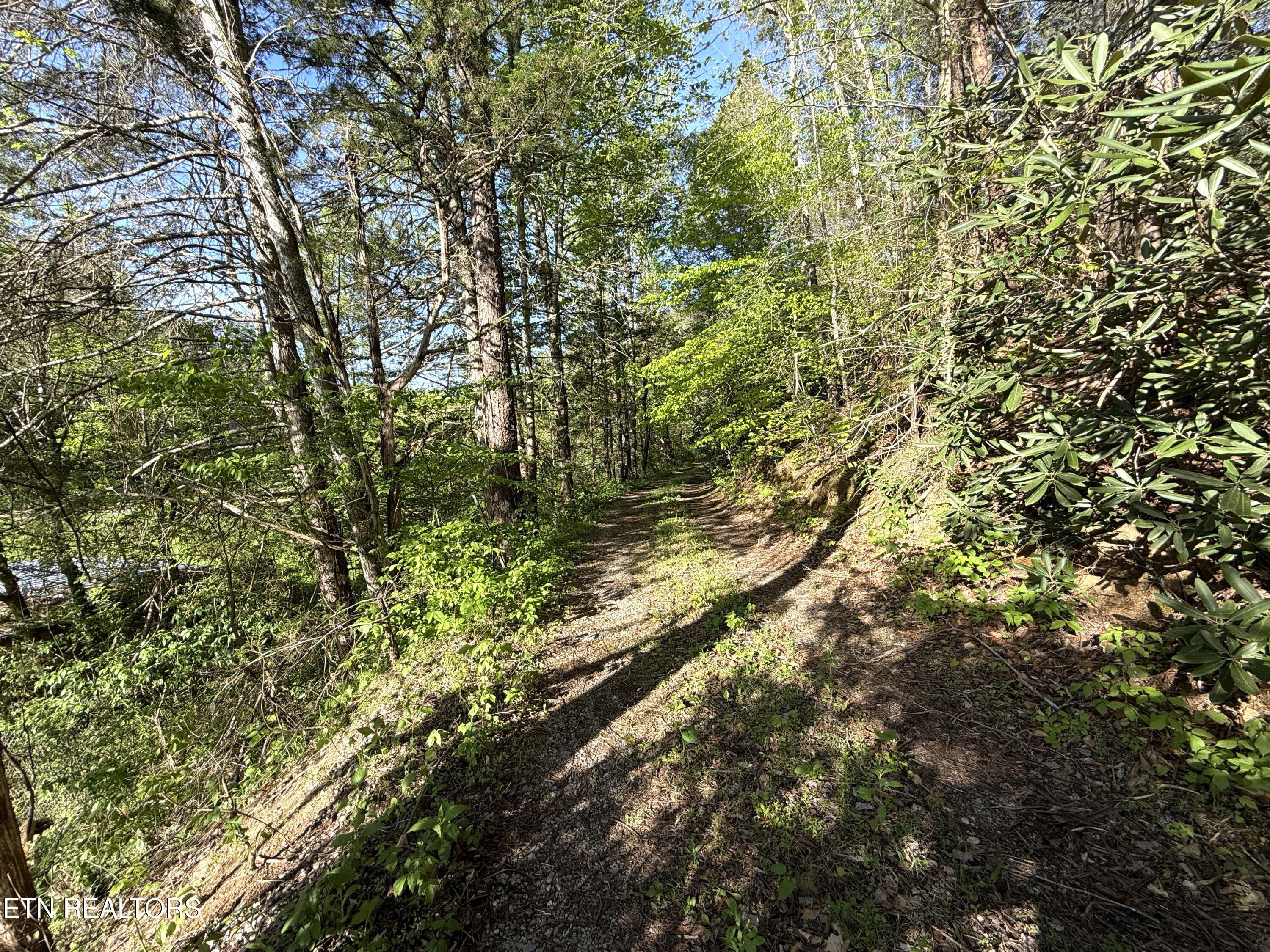 2930 Arch Way Cosby TN 37722