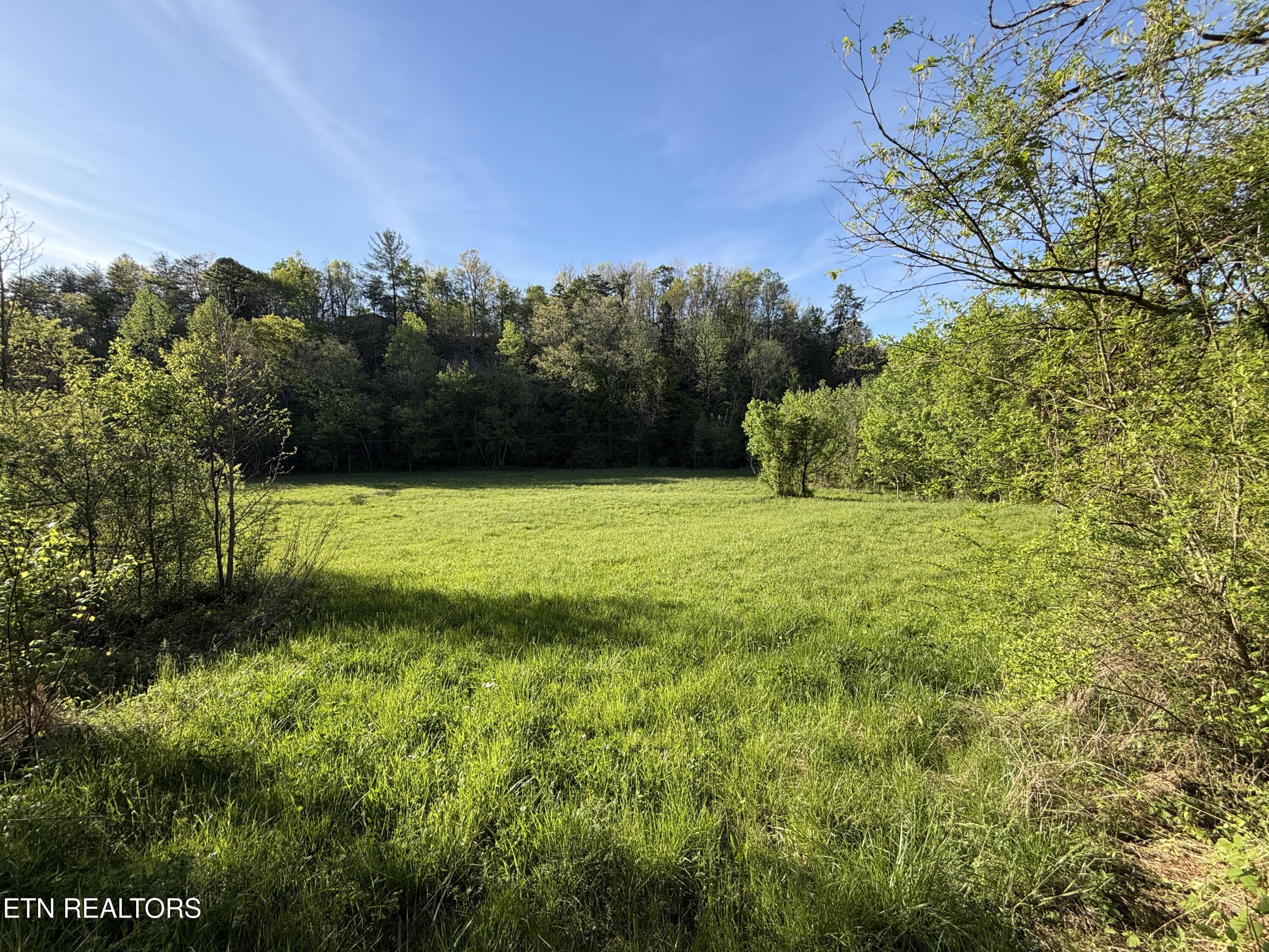 2930 Arch Way Cosby TN 37722