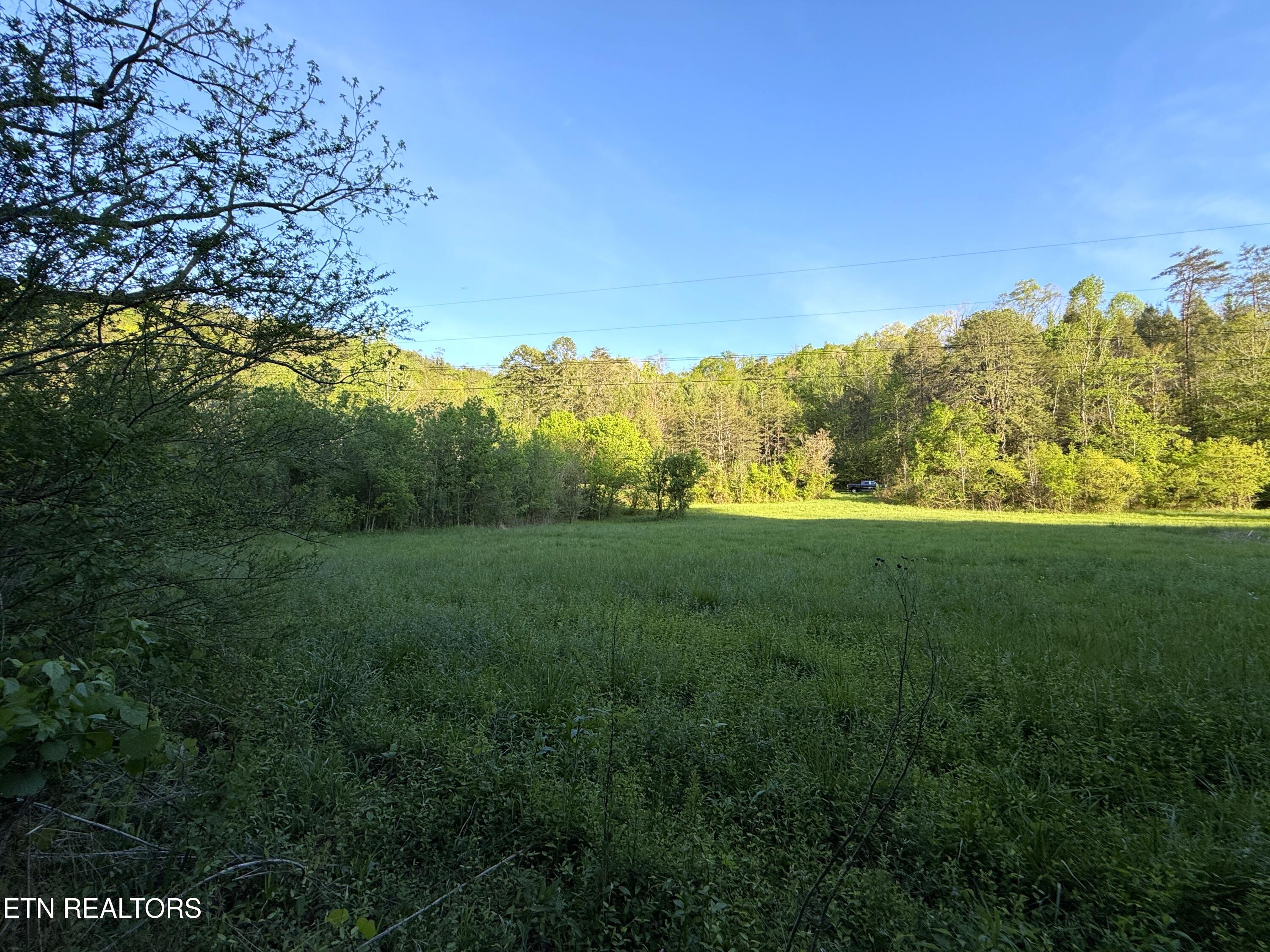 2930 Arch Way Cosby TN 37722