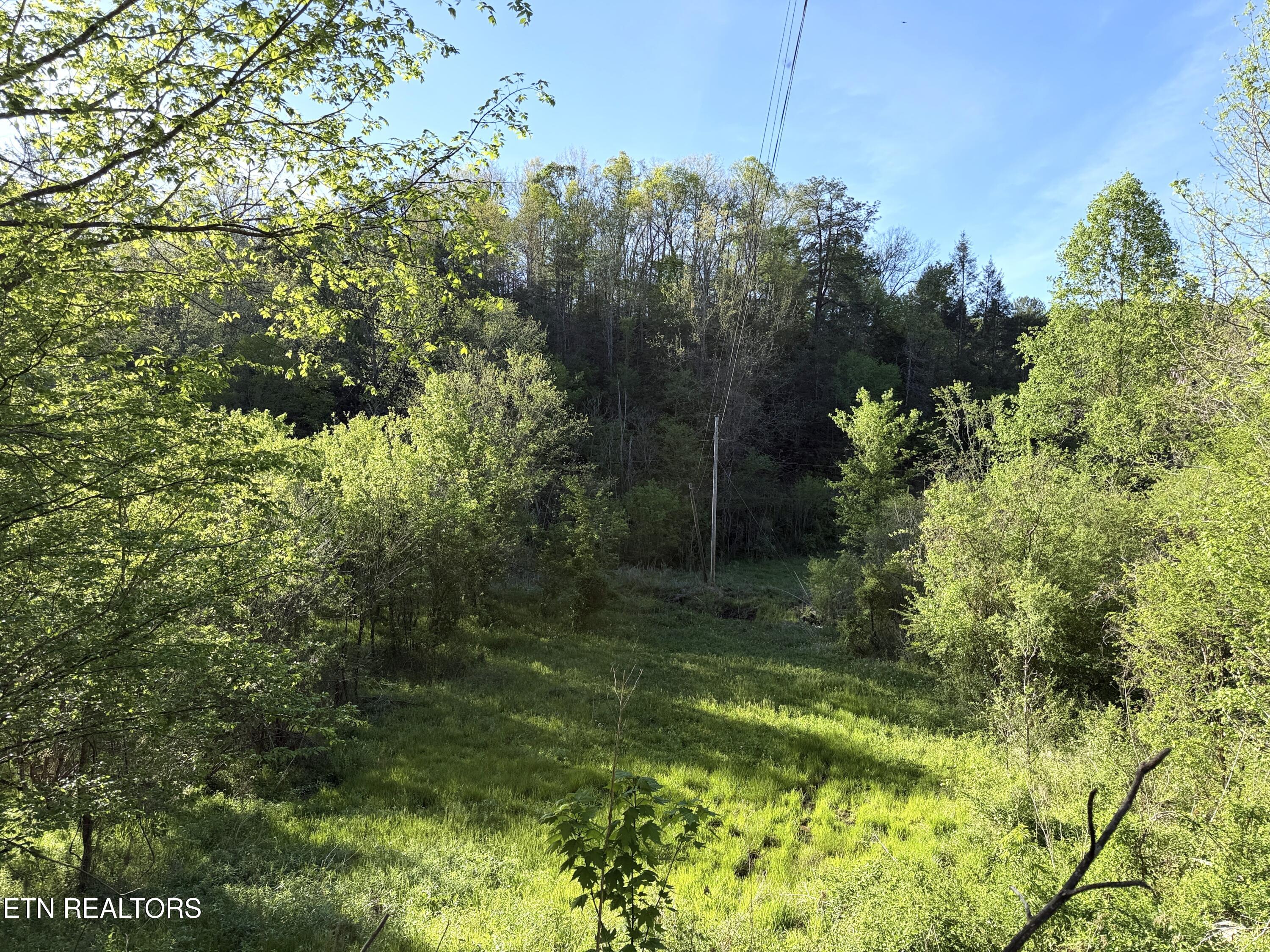 2930 Arch Way Cosby TN 37722