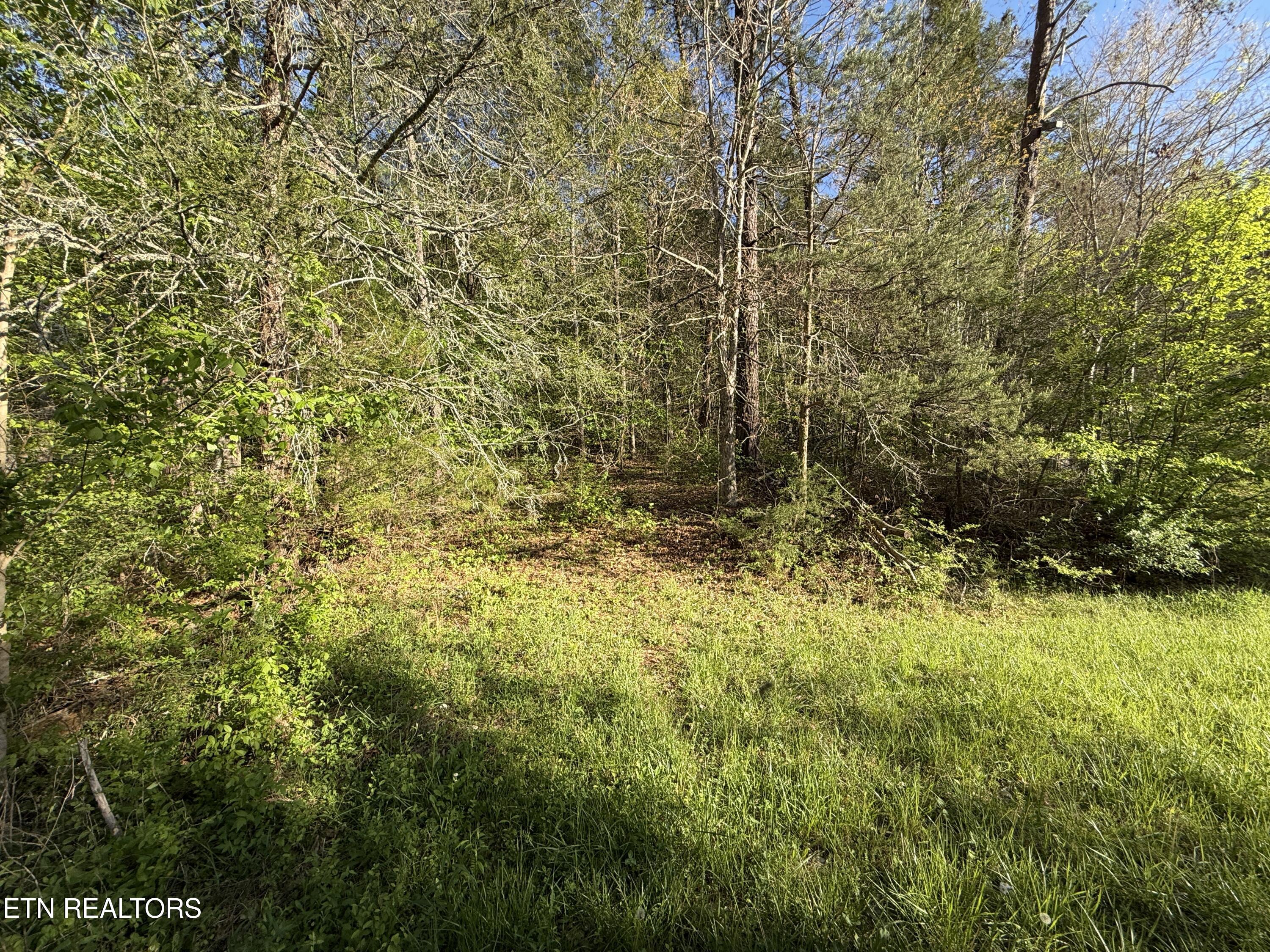 2930 Arch Way Cosby TN 37722