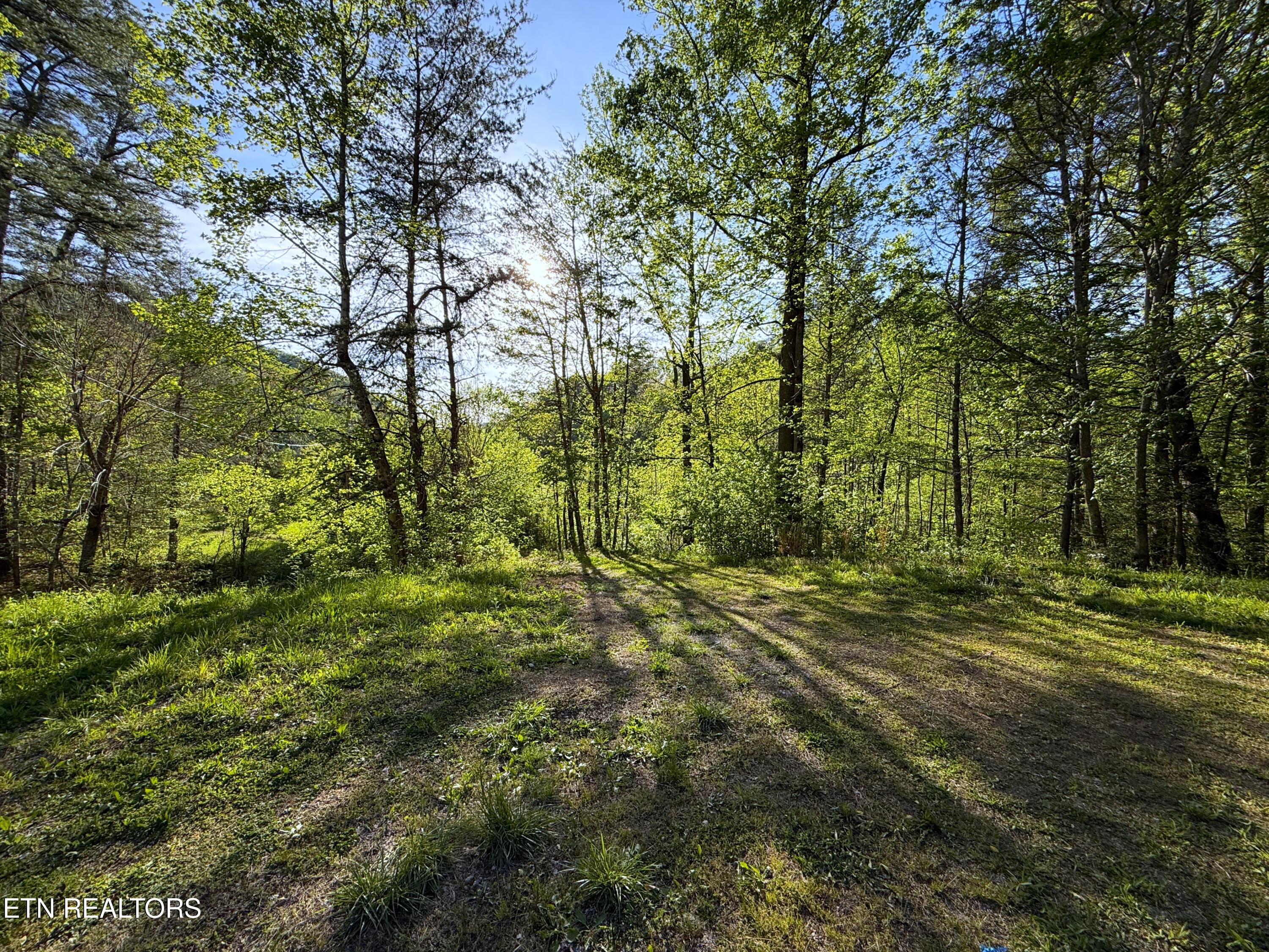 2930 Arch Way Cosby TN 37722