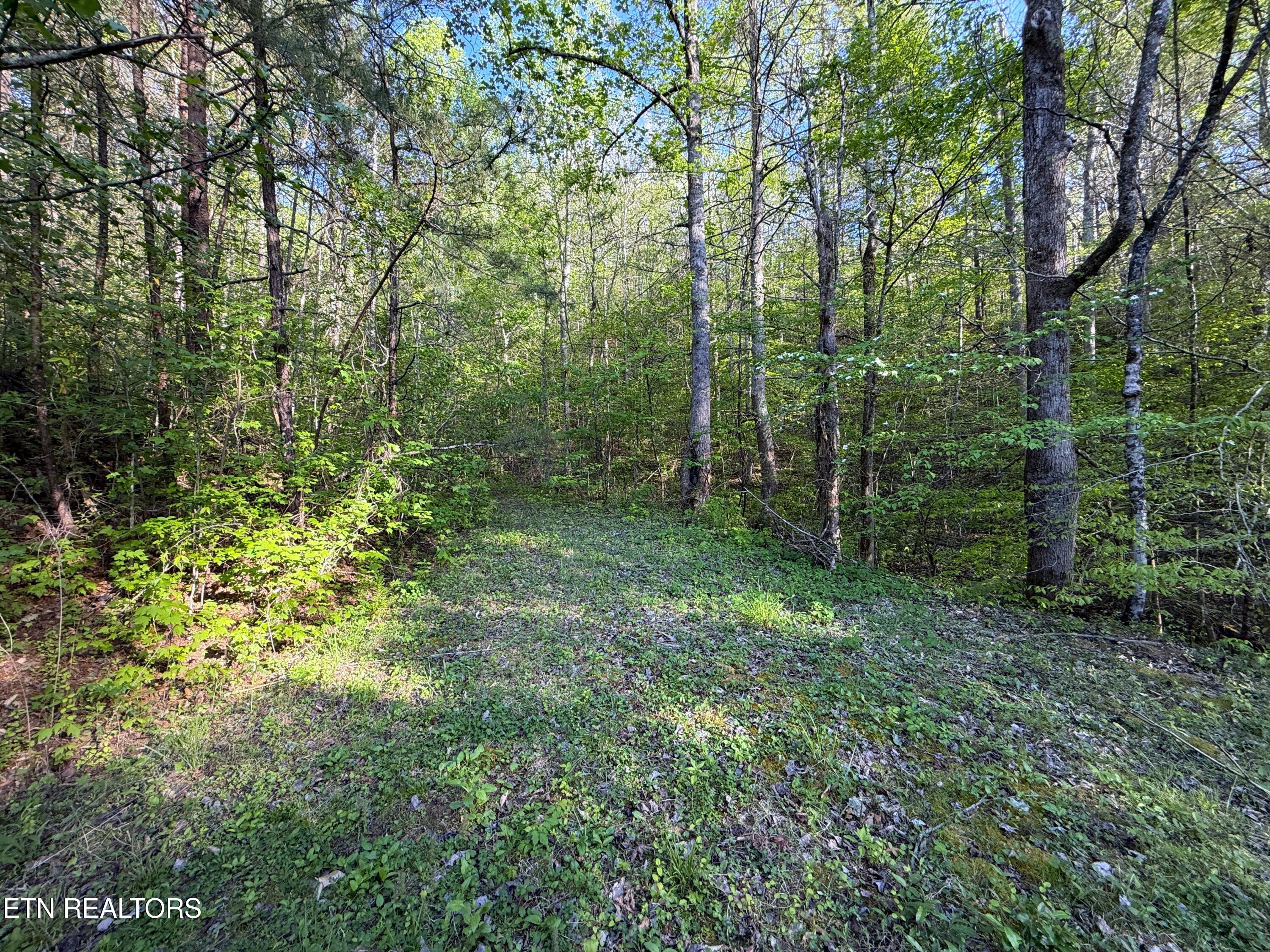 2930 Arch Way Cosby TN 37722