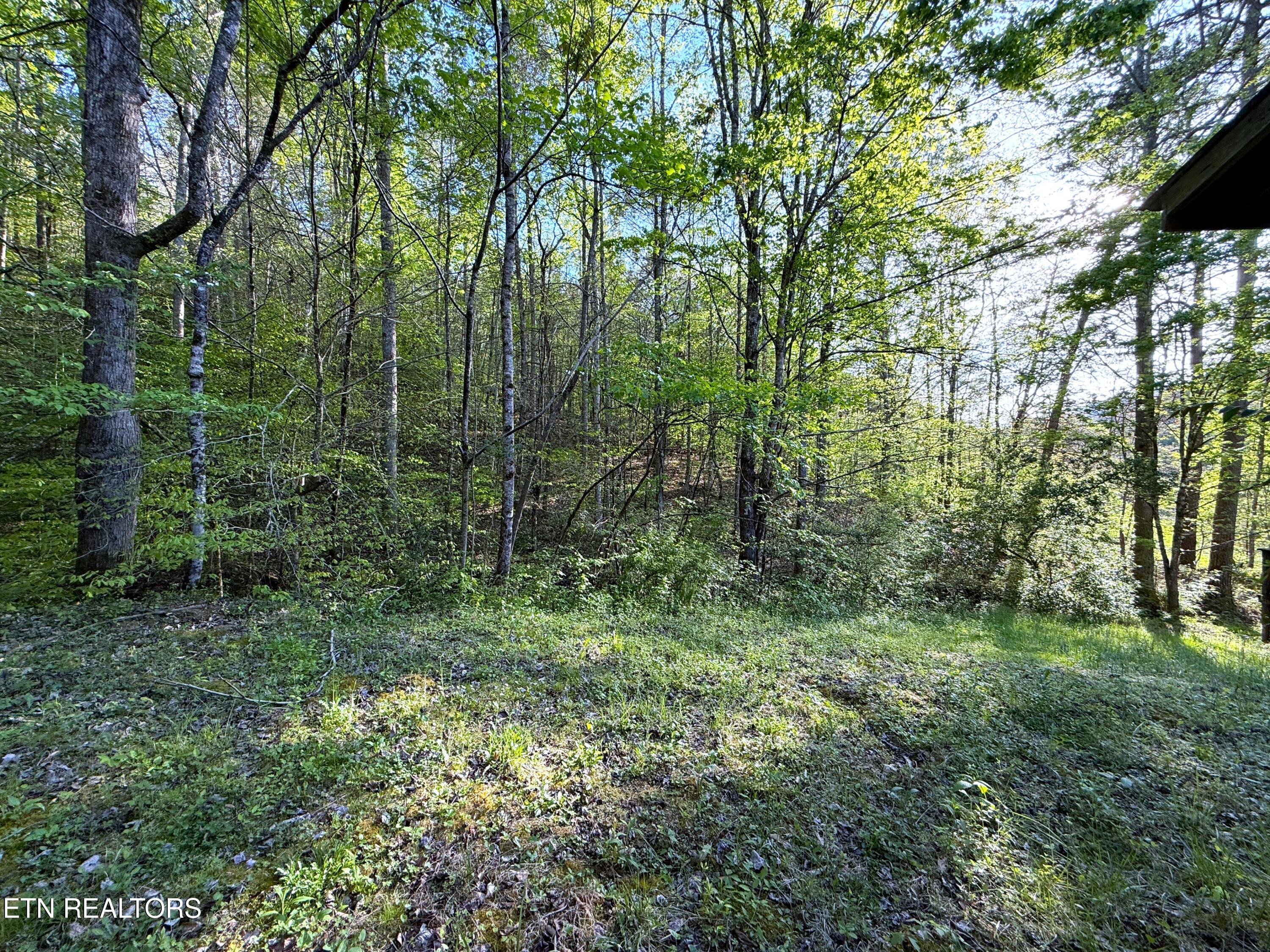 2930 Arch Way Cosby TN 37722