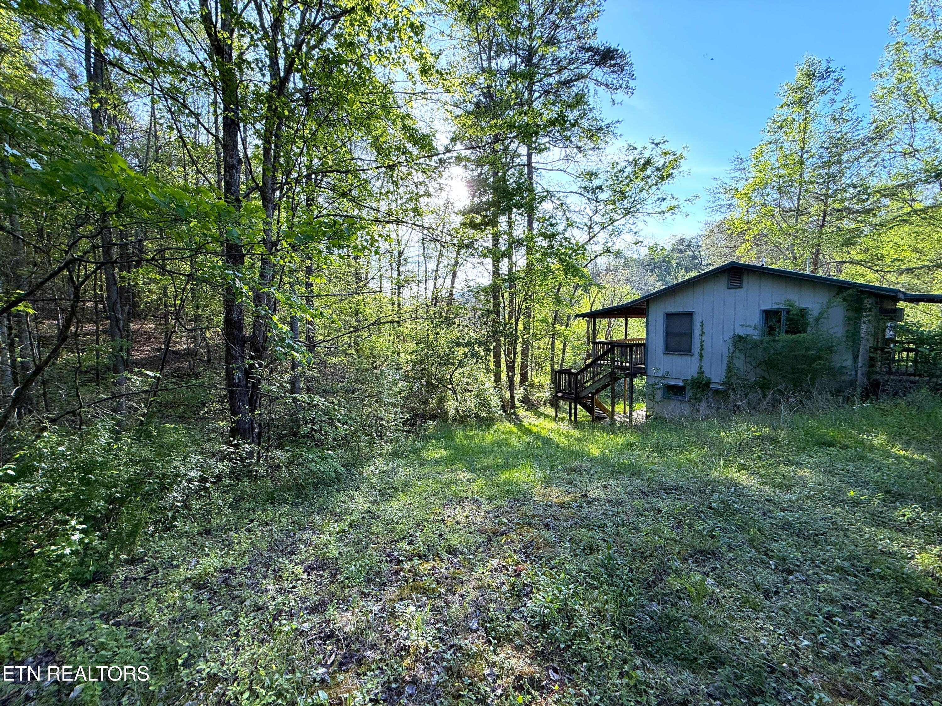 2930 Arch Way Cosby TN 37722