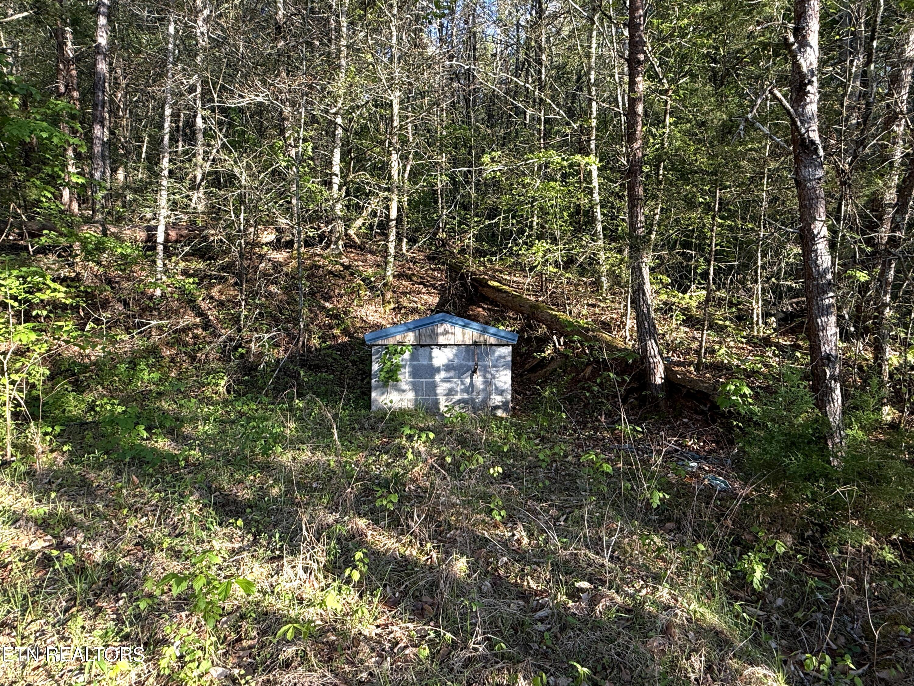 2930 Arch Way Cosby TN 37722