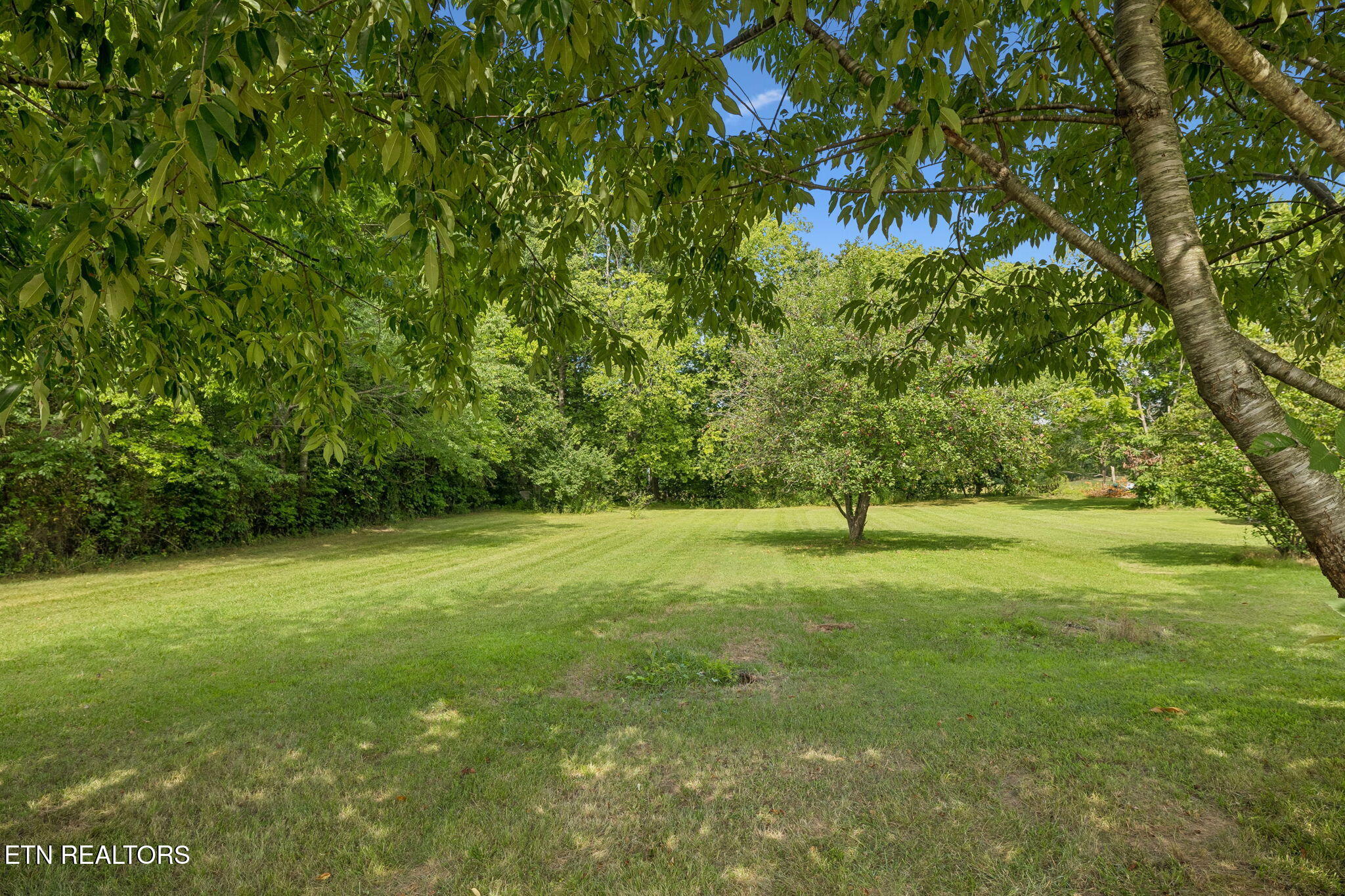 1422 Dove Lane Springfield TN 37172