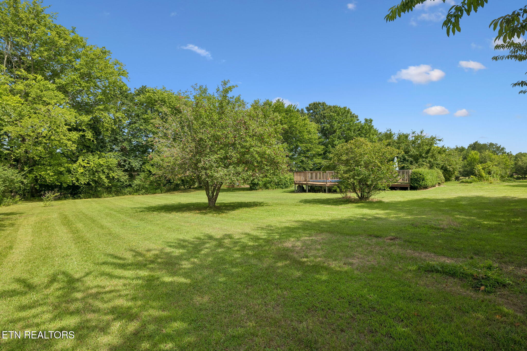 1422 Dove Lane Springfield TN 37172