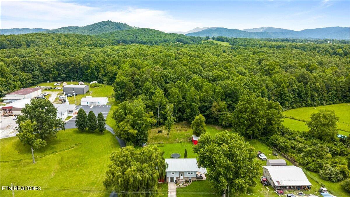 1585 Jeffers Road Huntsville TN 37756