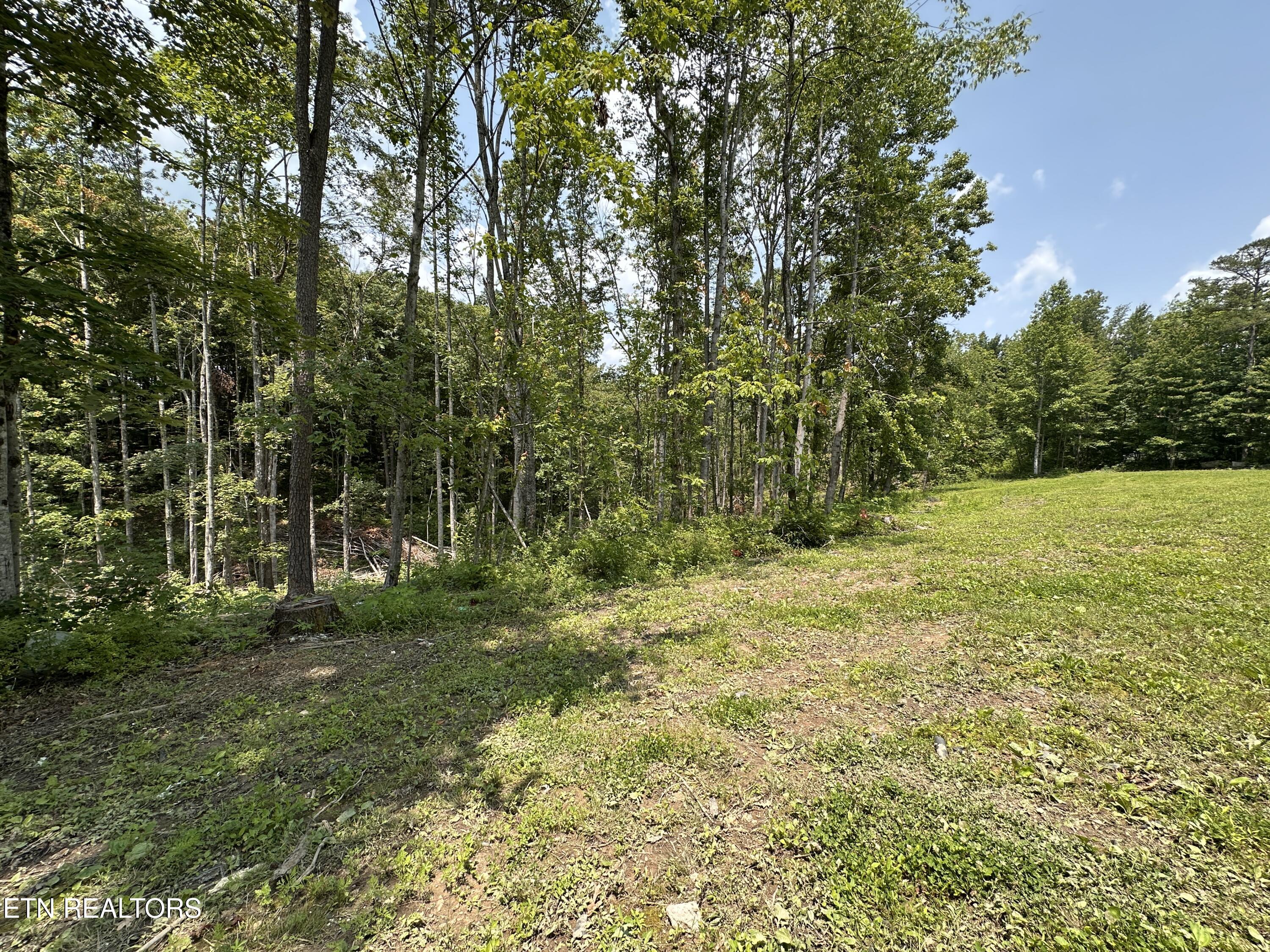 1019 Sunshine Estates Road Jamestown TN 38556
