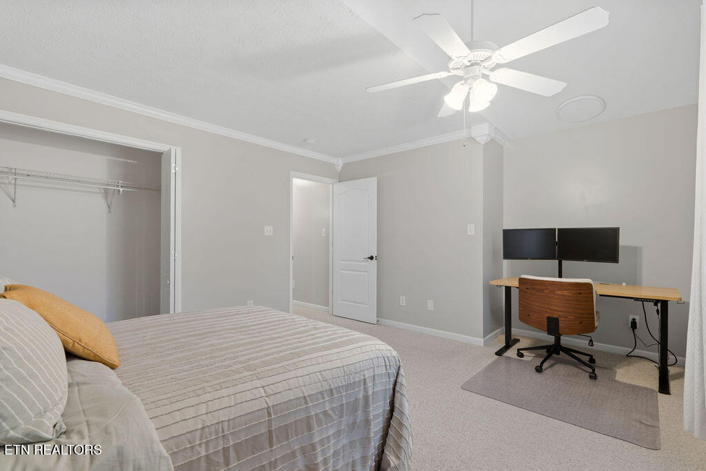 2124 Elm Grove Lane Knoxville TN 37932