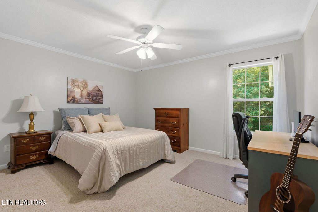2124 Elm Grove Lane Knoxville TN 37932