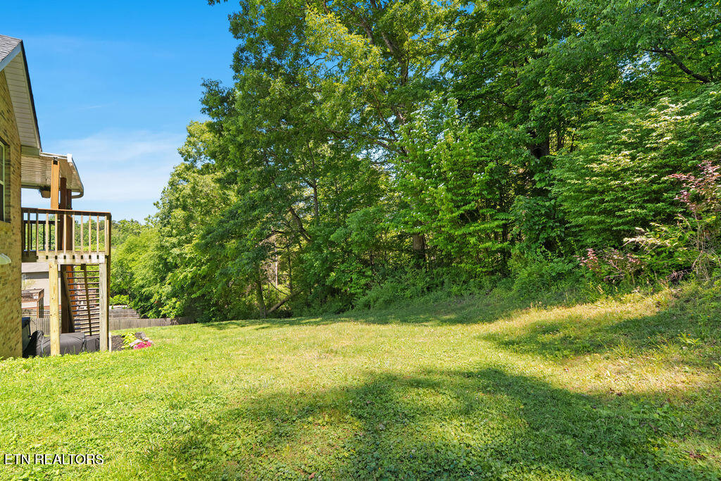 2124 Elm Grove Lane Knoxville TN 37932