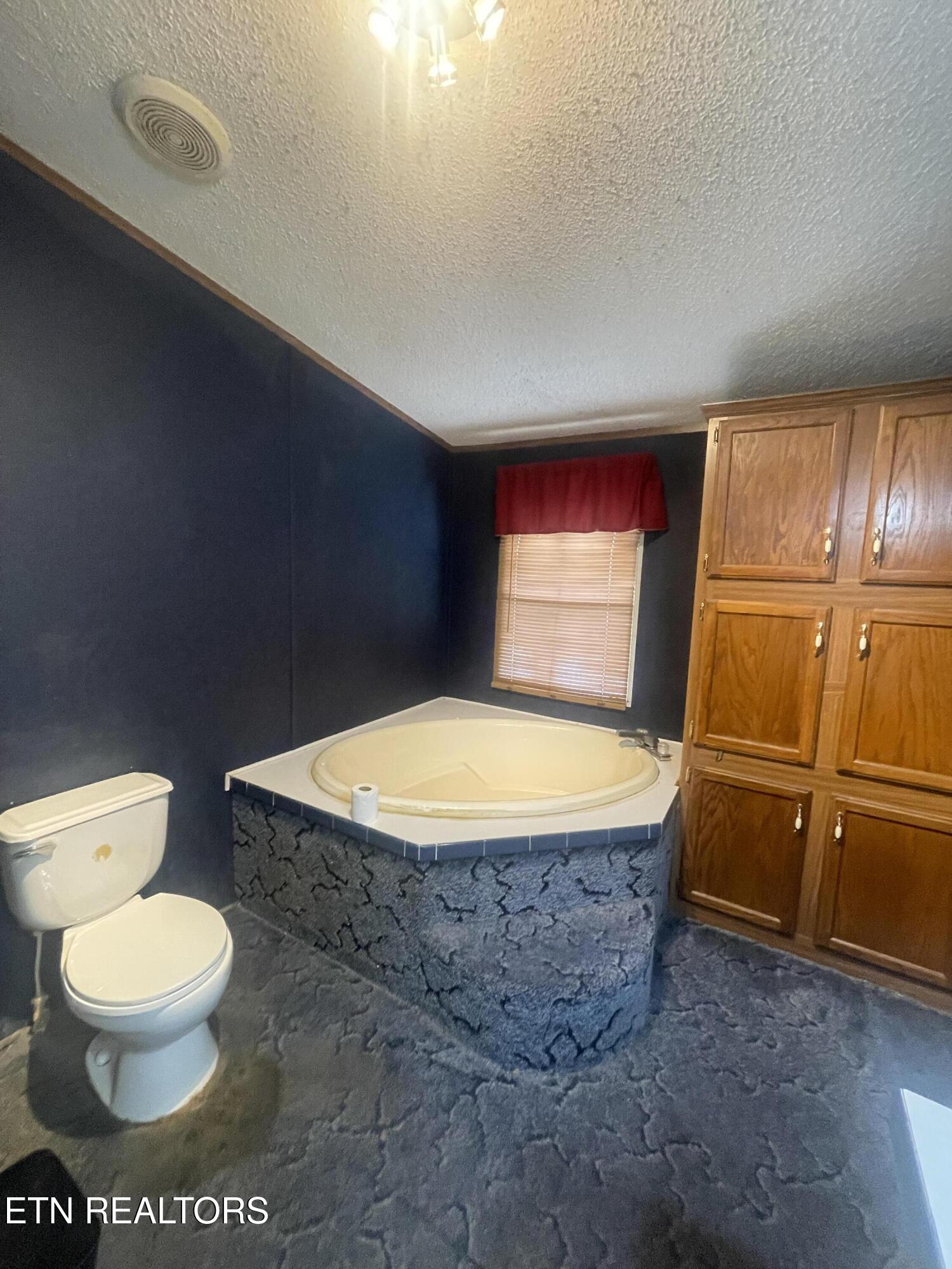 10320 Patsy Cline Way Strawberry Plains TN 37871