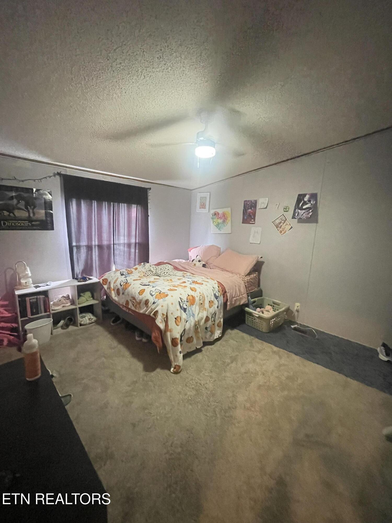 10320 Patsy Cline Way Strawberry Plains TN 37871