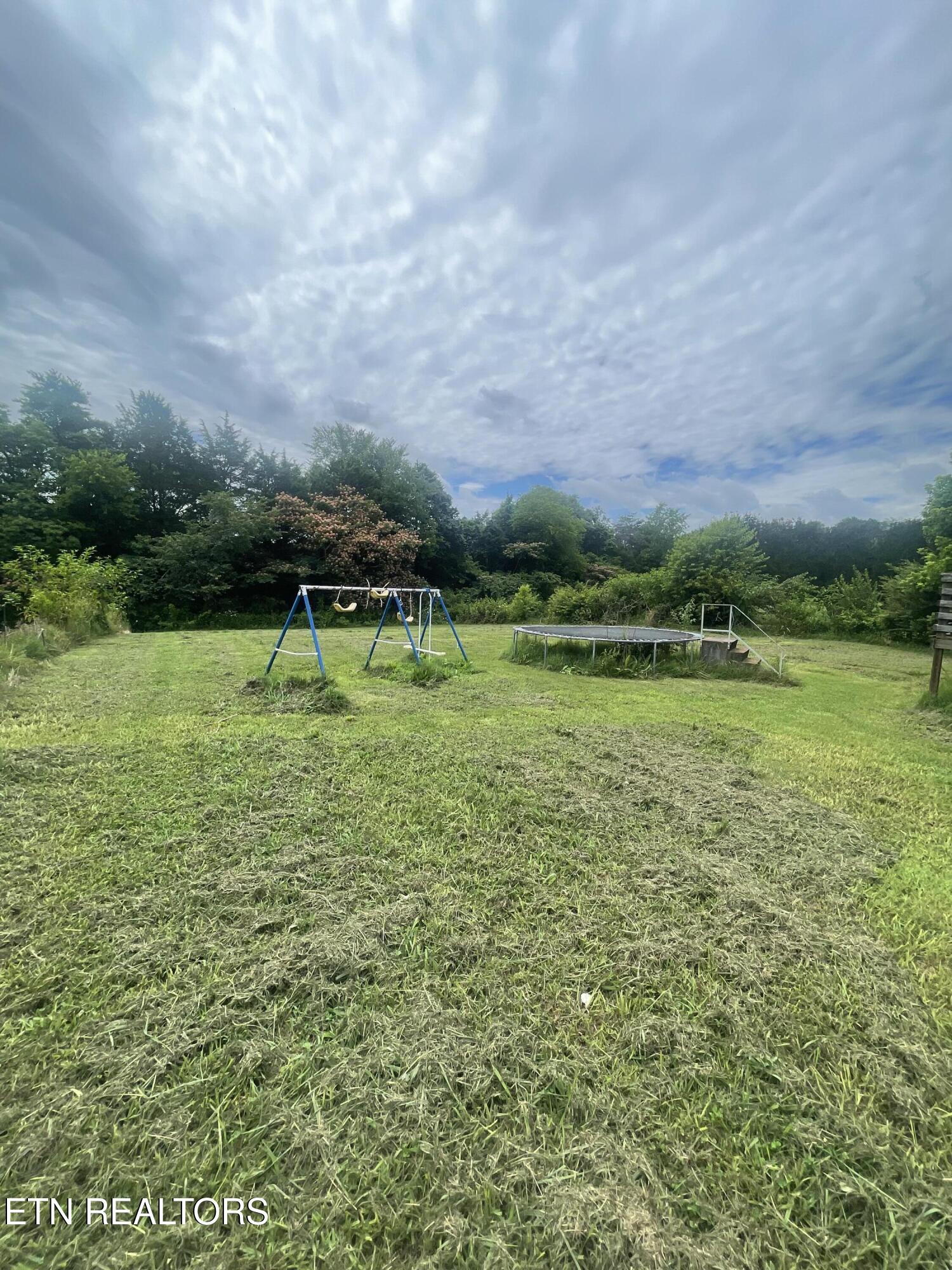 10320 Patsy Cline Way Strawberry Plains TN 37871