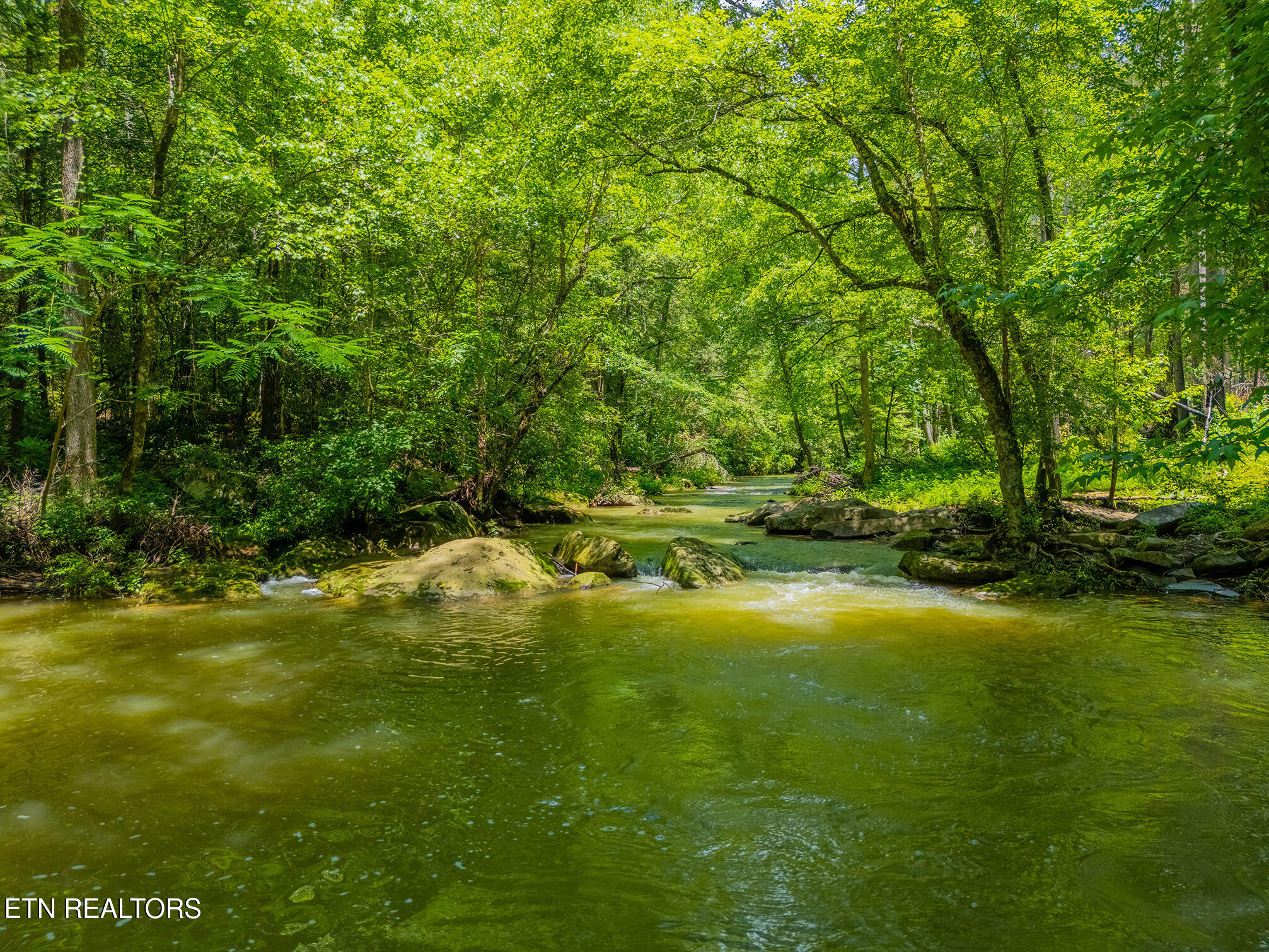 118 Authorn Sheldon Road Harriman TN 37748