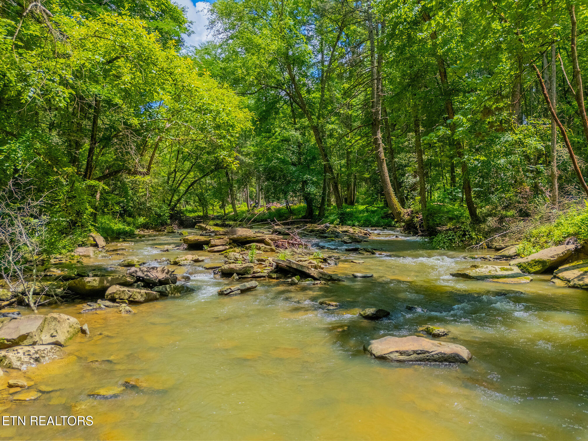 118 Authorn Sheldon Road Harriman TN 37748