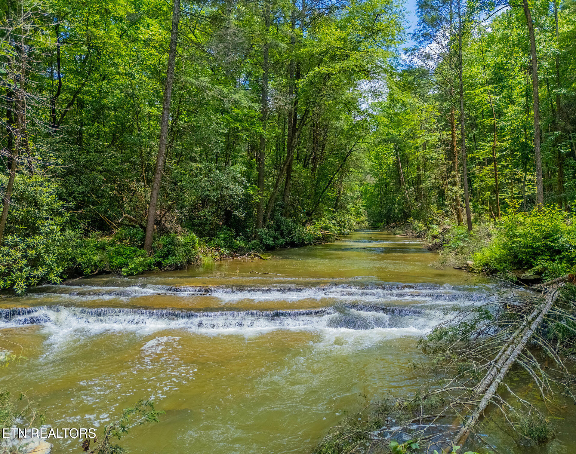 118 Authorn Sheldon Road Harriman TN 37748