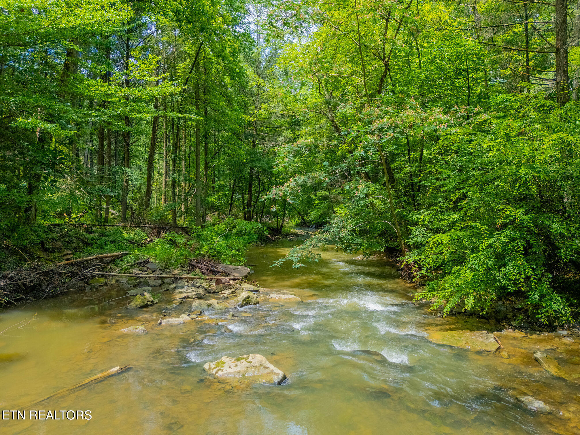 118 Authorn Sheldon Road Harriman TN 37748