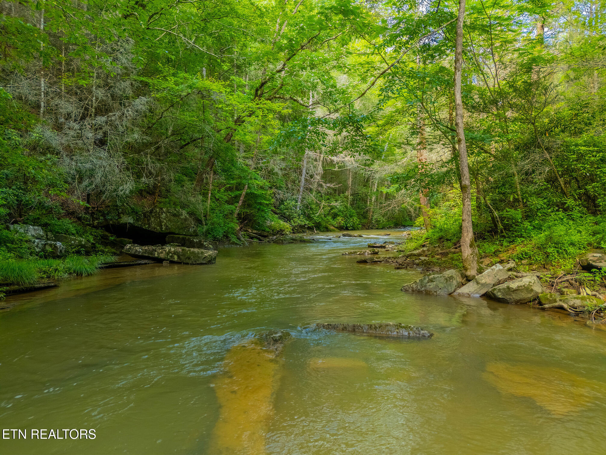 118 Authorn Sheldon Road Harriman TN 37748
