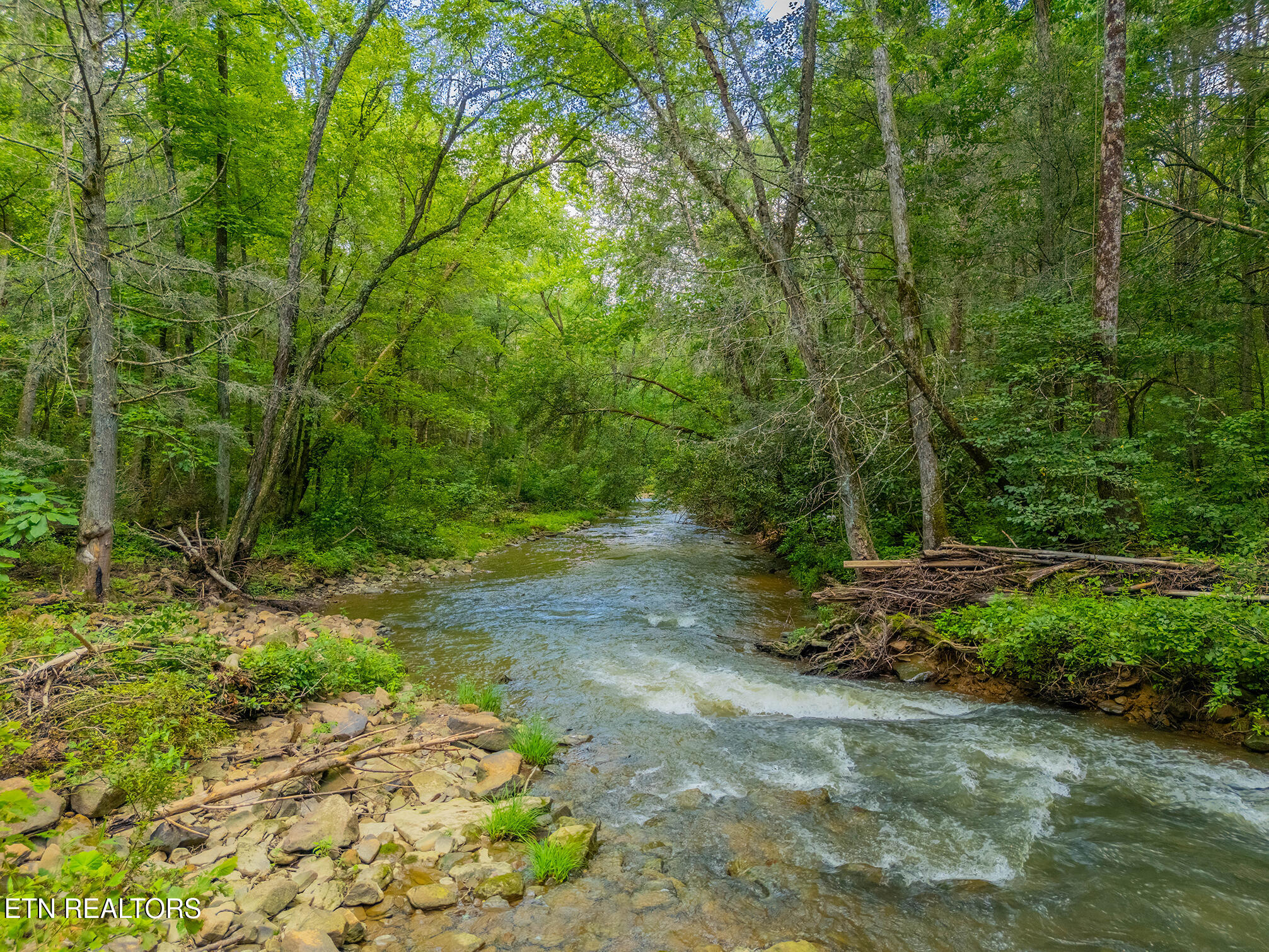 118 Authorn Sheldon Road Harriman TN 37748