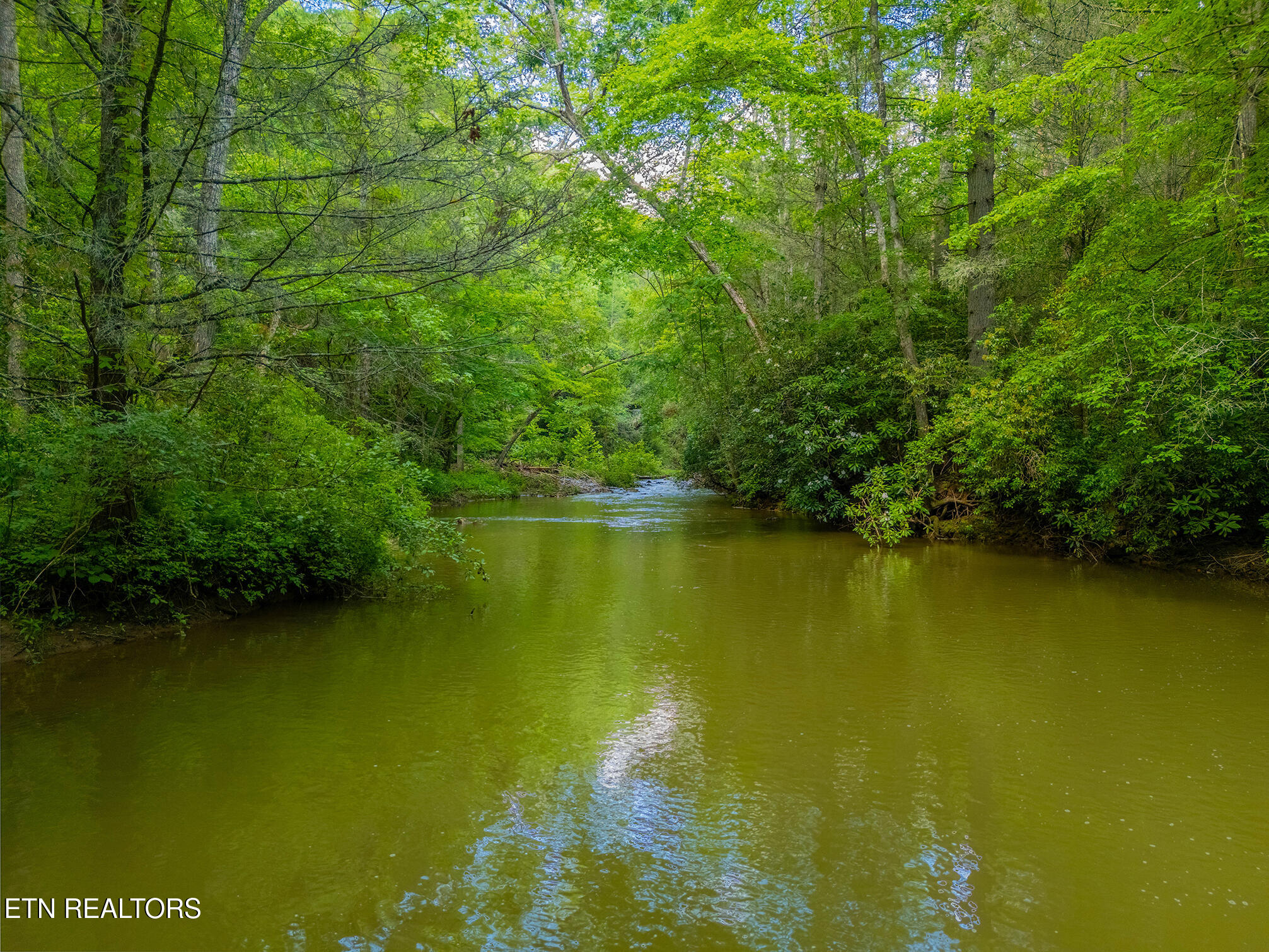 118 Authorn Sheldon Road Harriman TN 37748