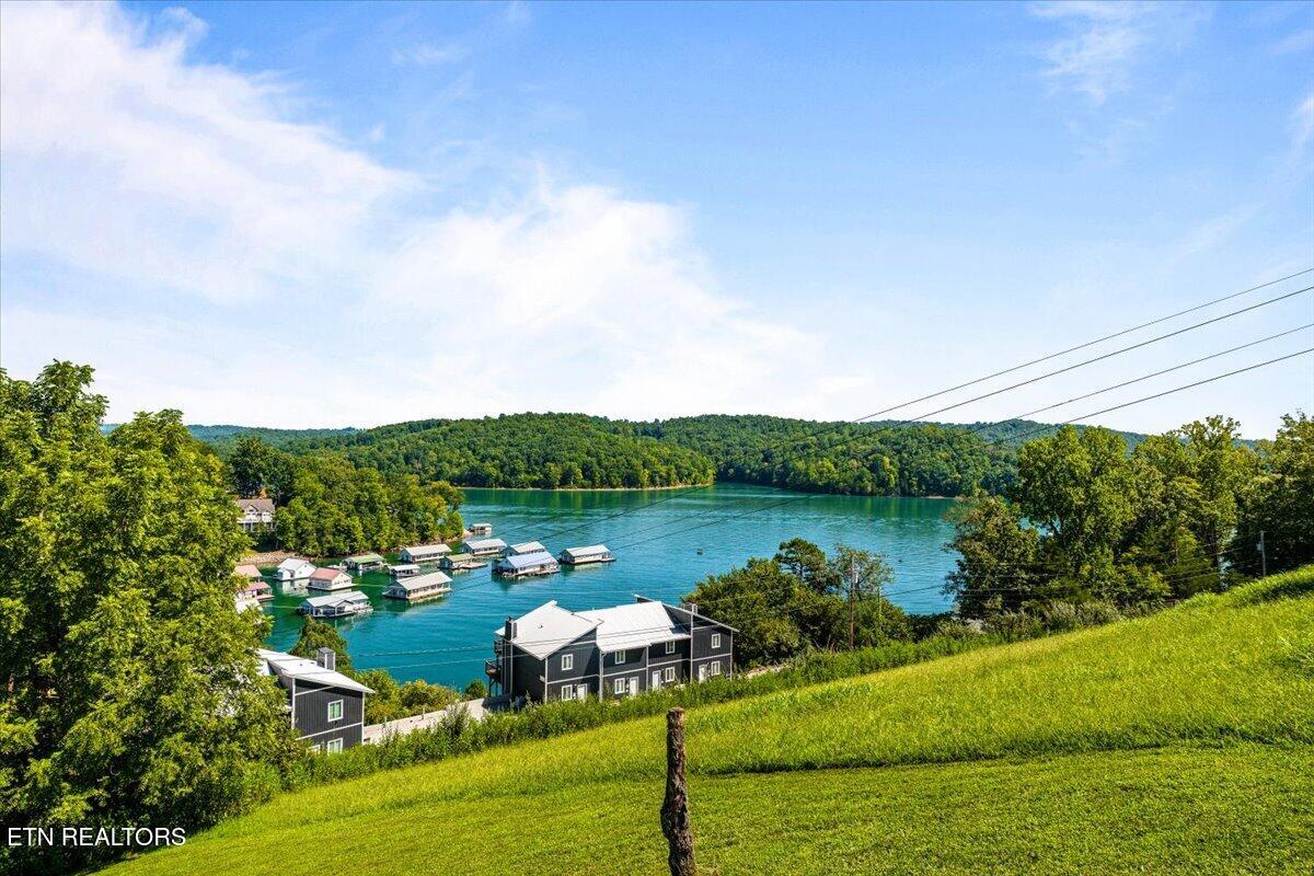 159 Reflection Lane Lafollette TN 37766