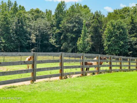 2000 Lawnville Road Kingston TN 37763