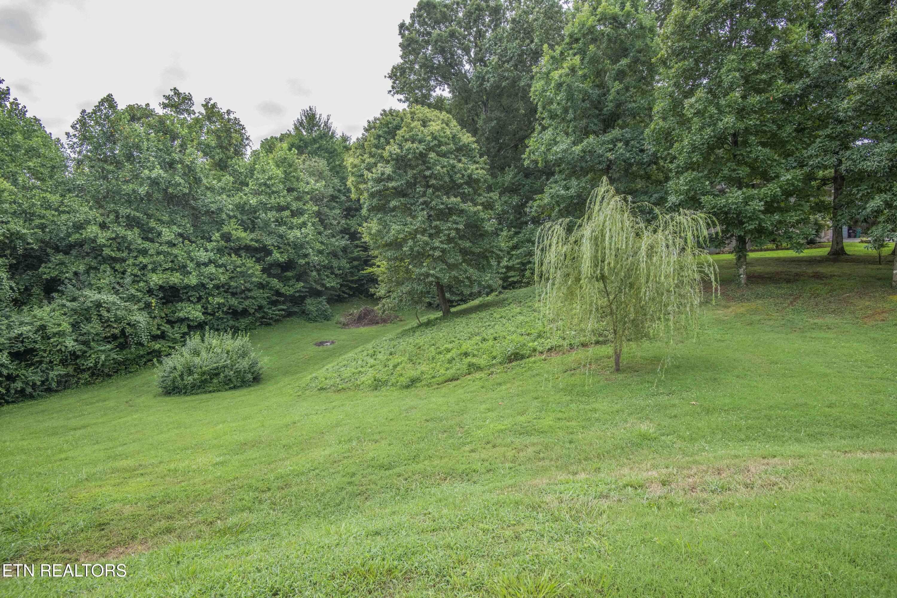 1732 Maplecrest Drive Louisville TN 37777