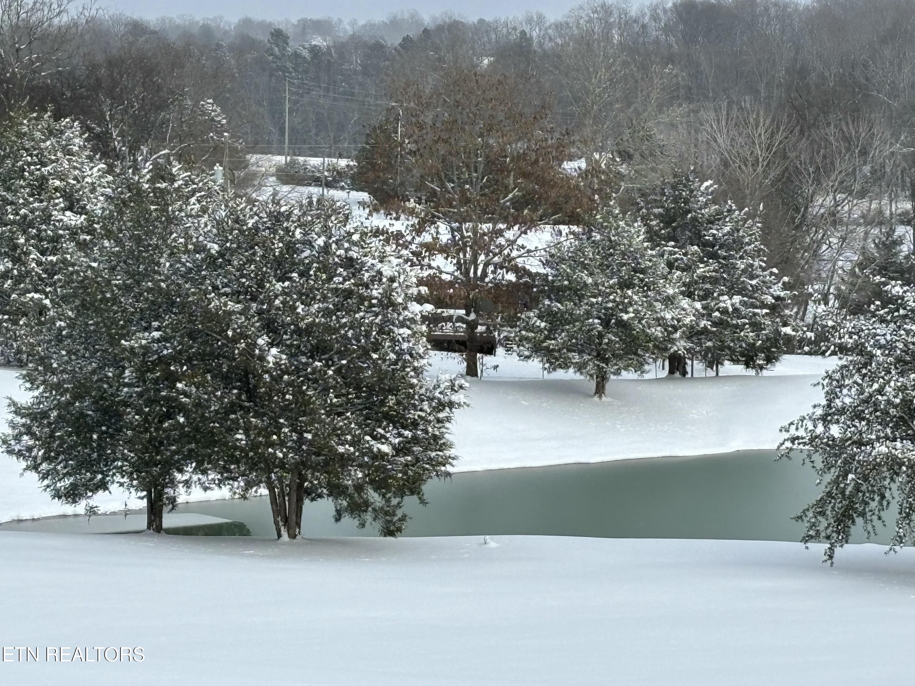 478 Mason Road Madisonville TN 37354