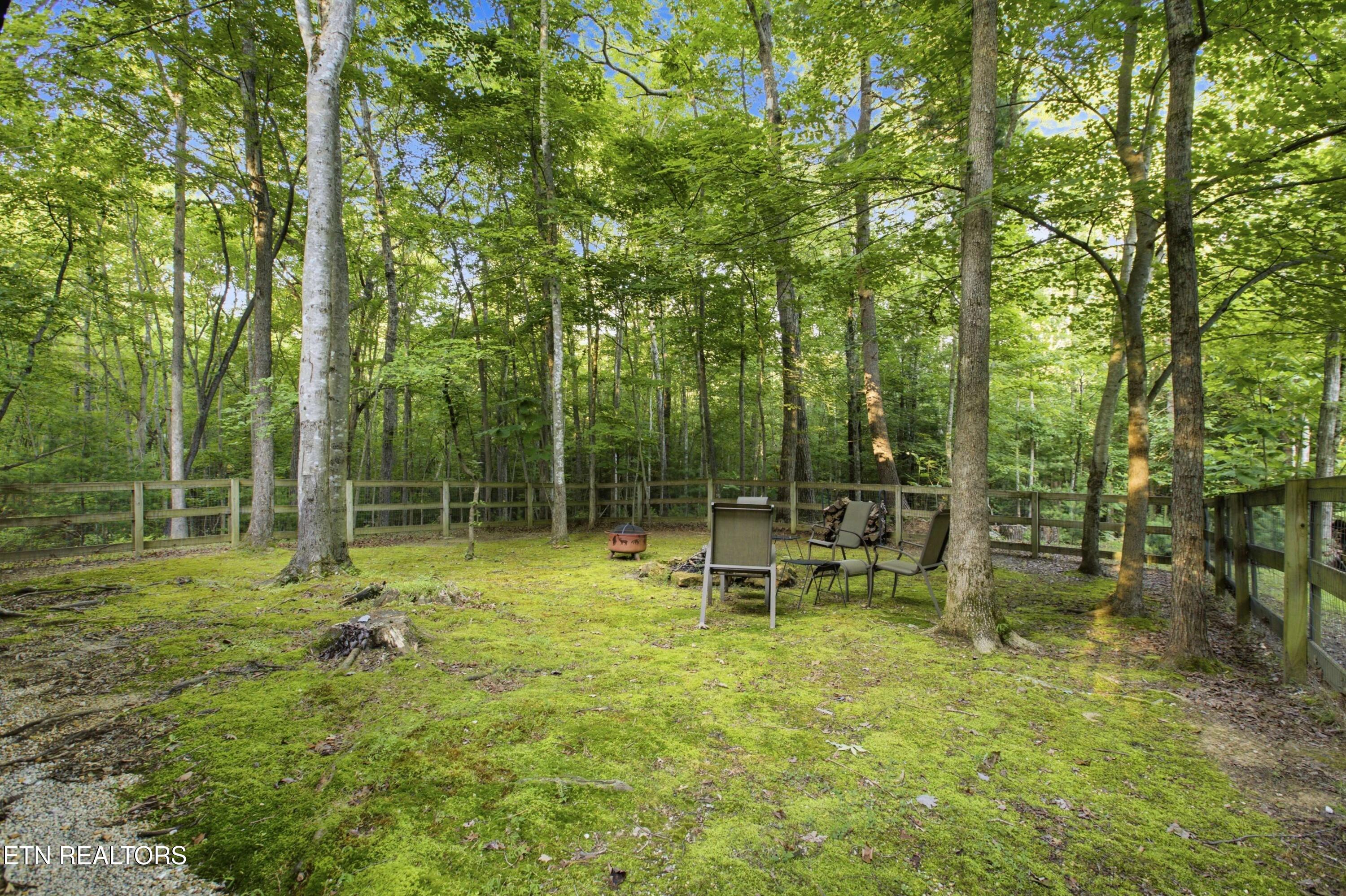 784 Wilderness Trail Oneida TN 37841