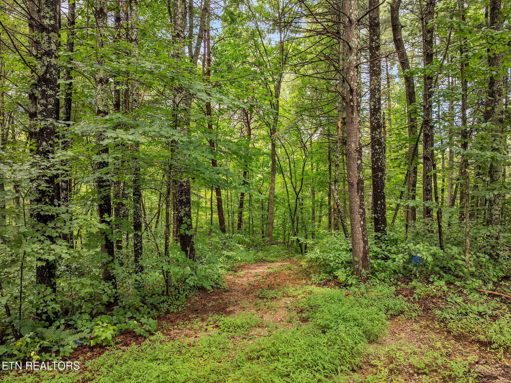 351 Zac Road Sunbright TN 37872